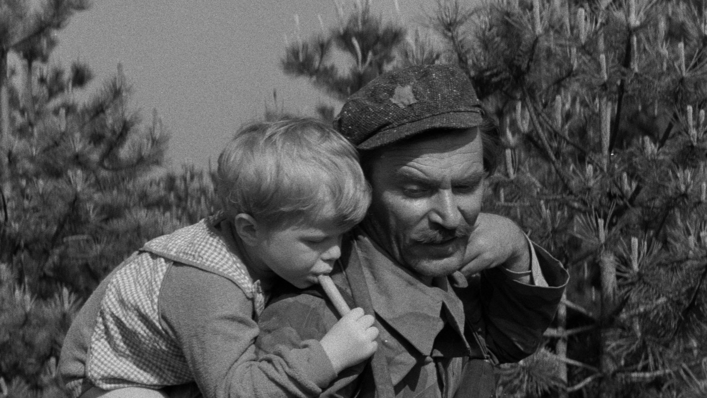 Backdrop for Don't Cry, Peter