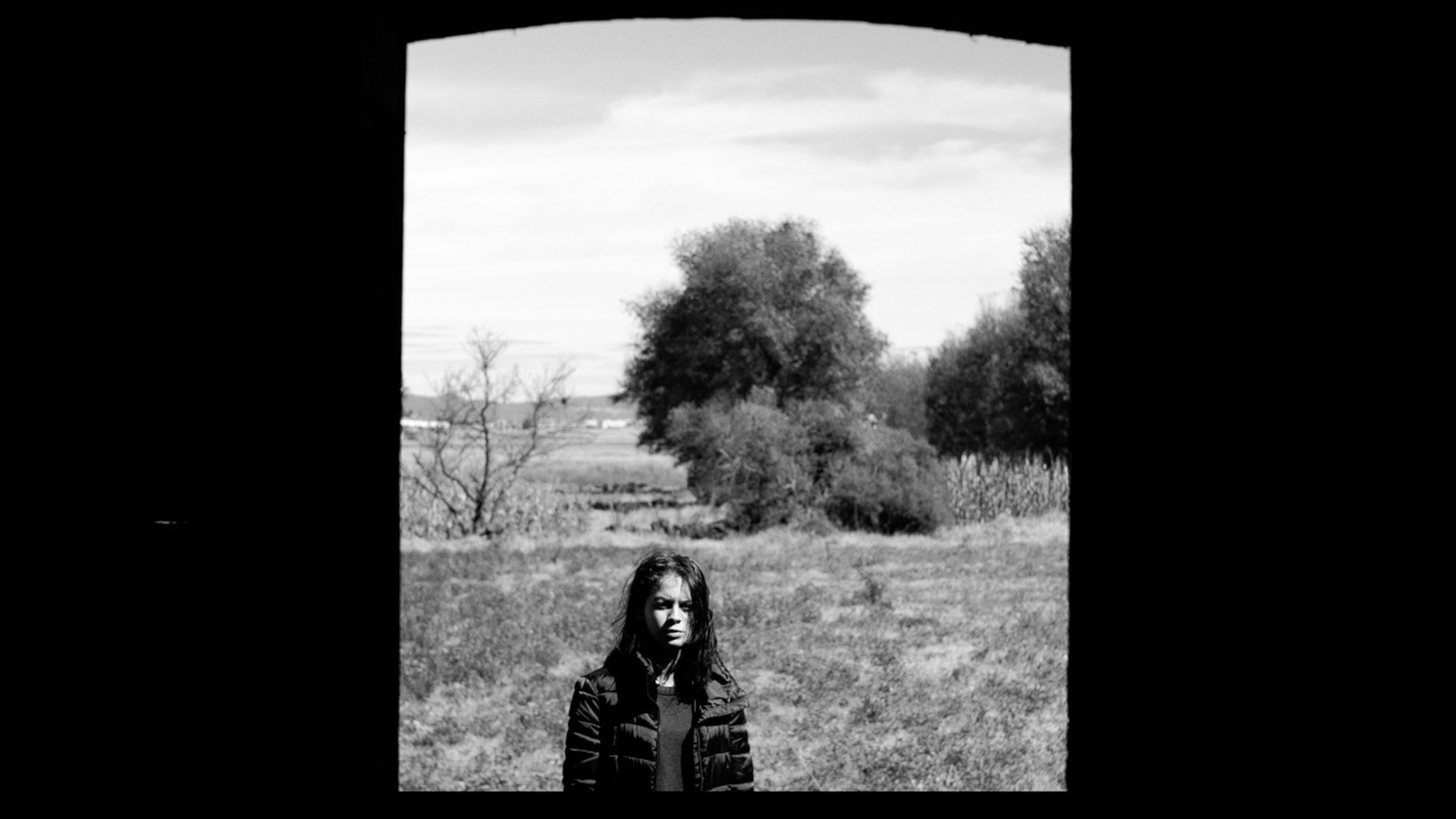 Backdrop for Rainy Wind