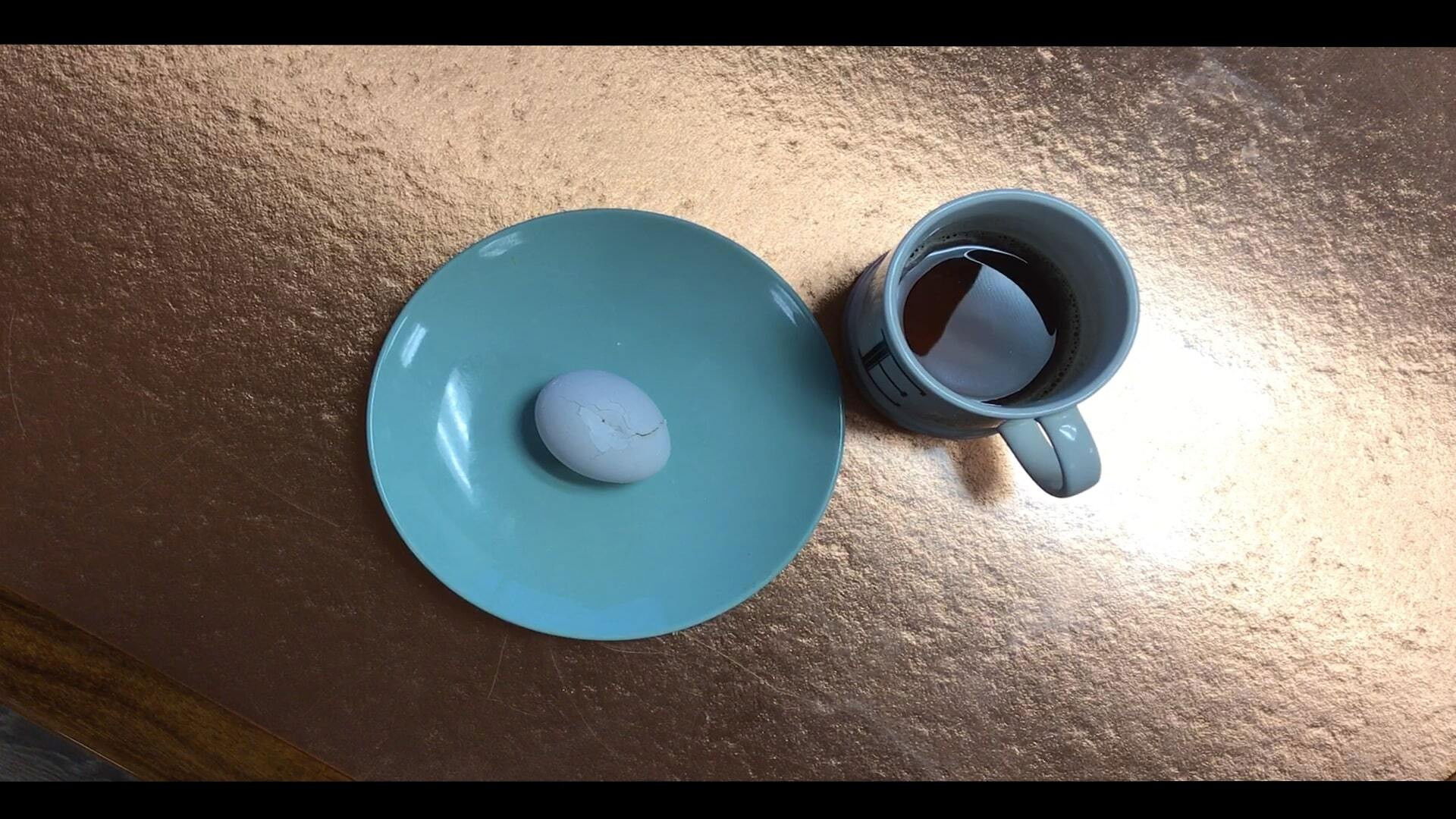 Backdrop for Egg Boy