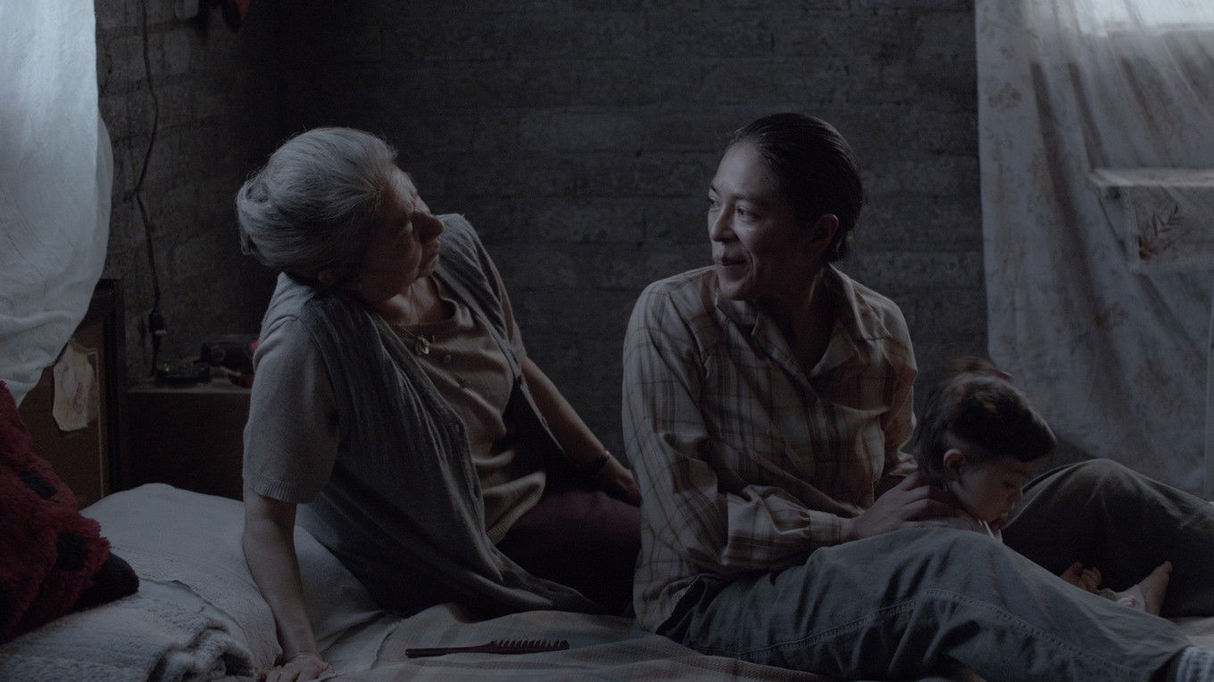 Backdrop for Tamara and the Ladybug