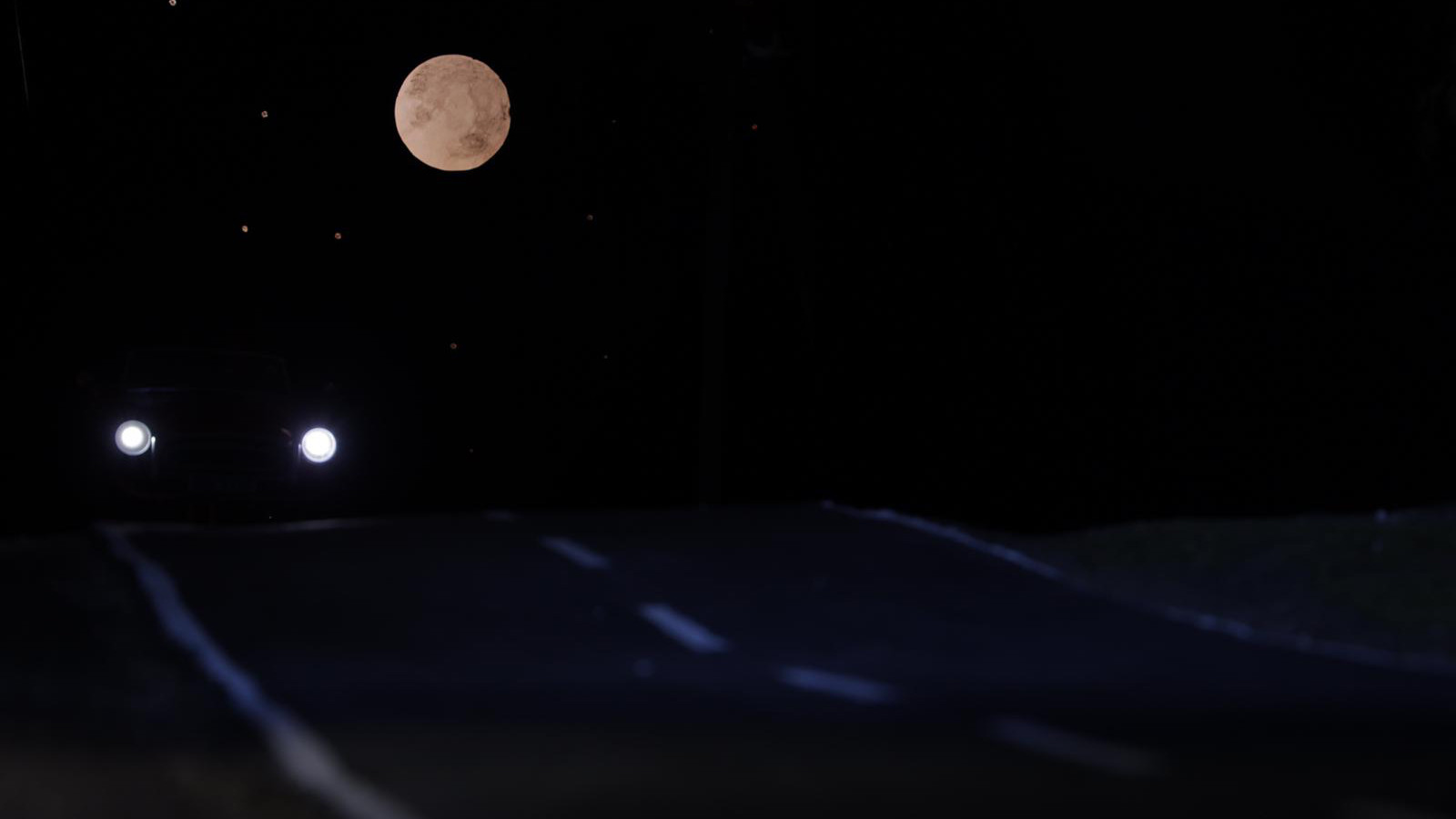 Backdrop for Roadkill