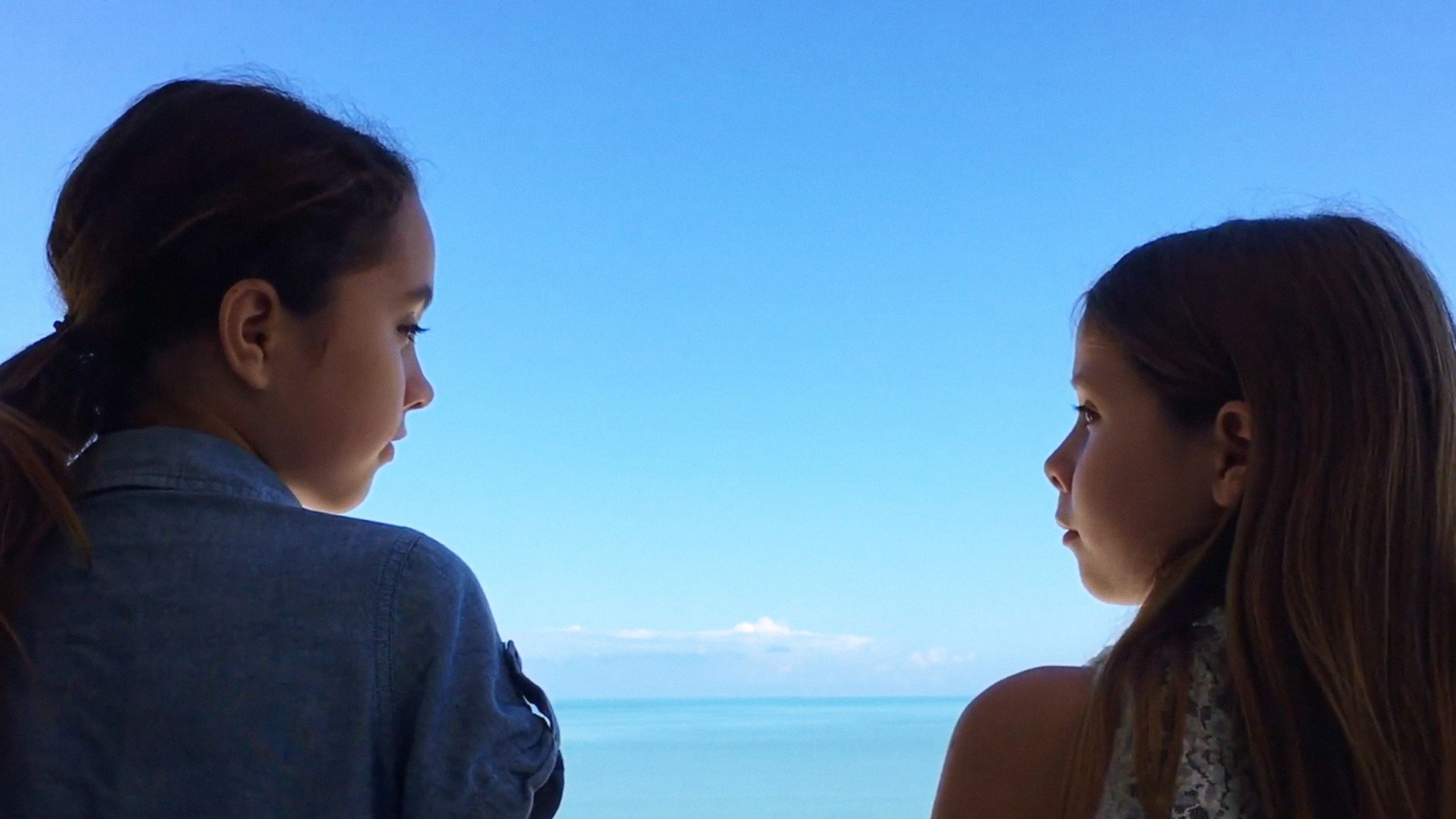 Backdrop for The Volunteers