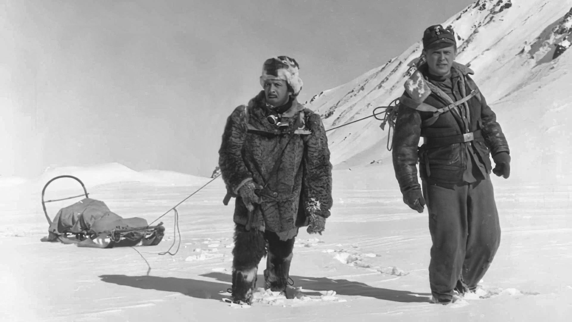 Backdrop for White Tracks