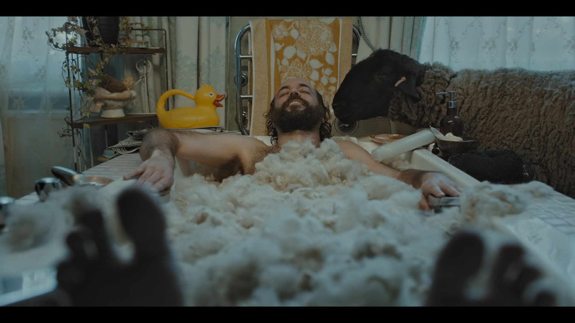 Backdrop for Herd Immunity