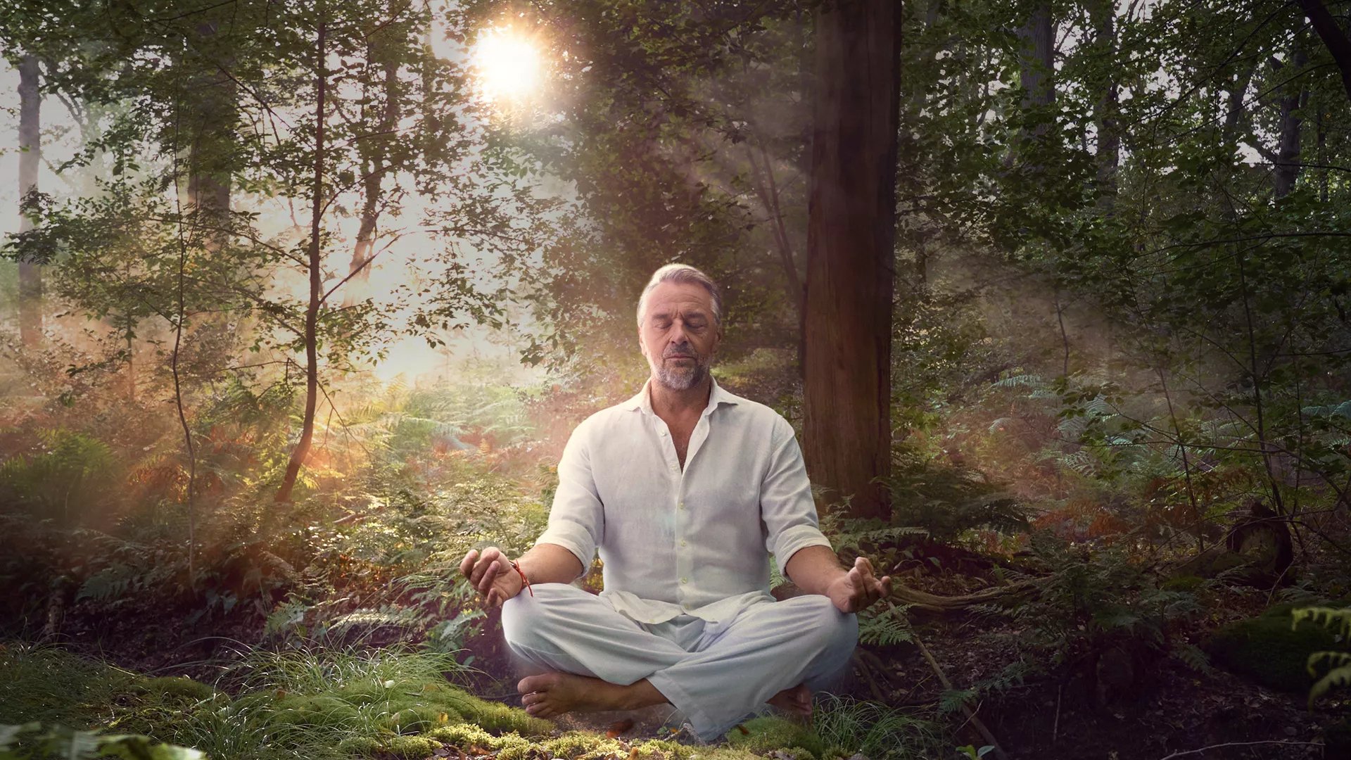 Backdrop for Kalm Waes