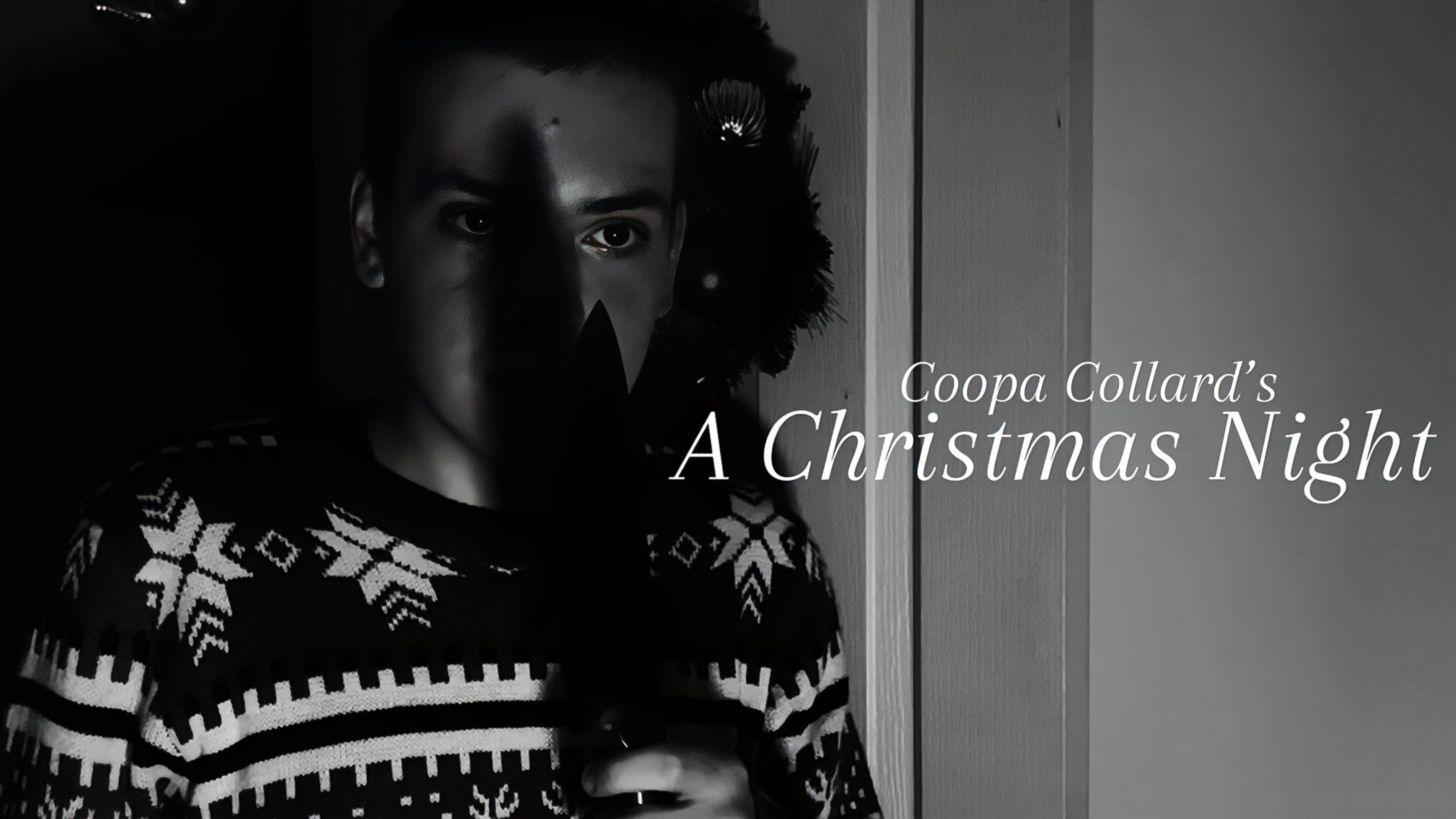 Backdrop for A Christmas Night