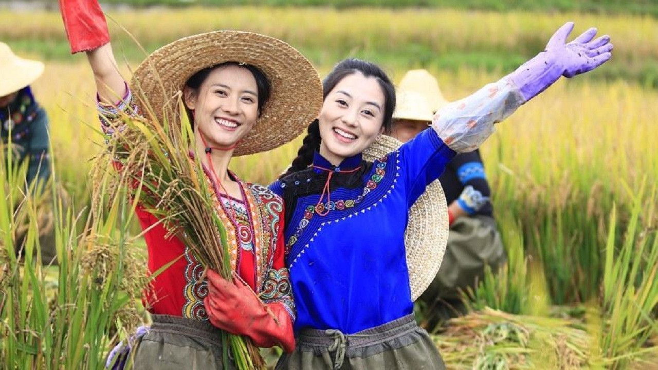 Backdrop for Terrace Sisters