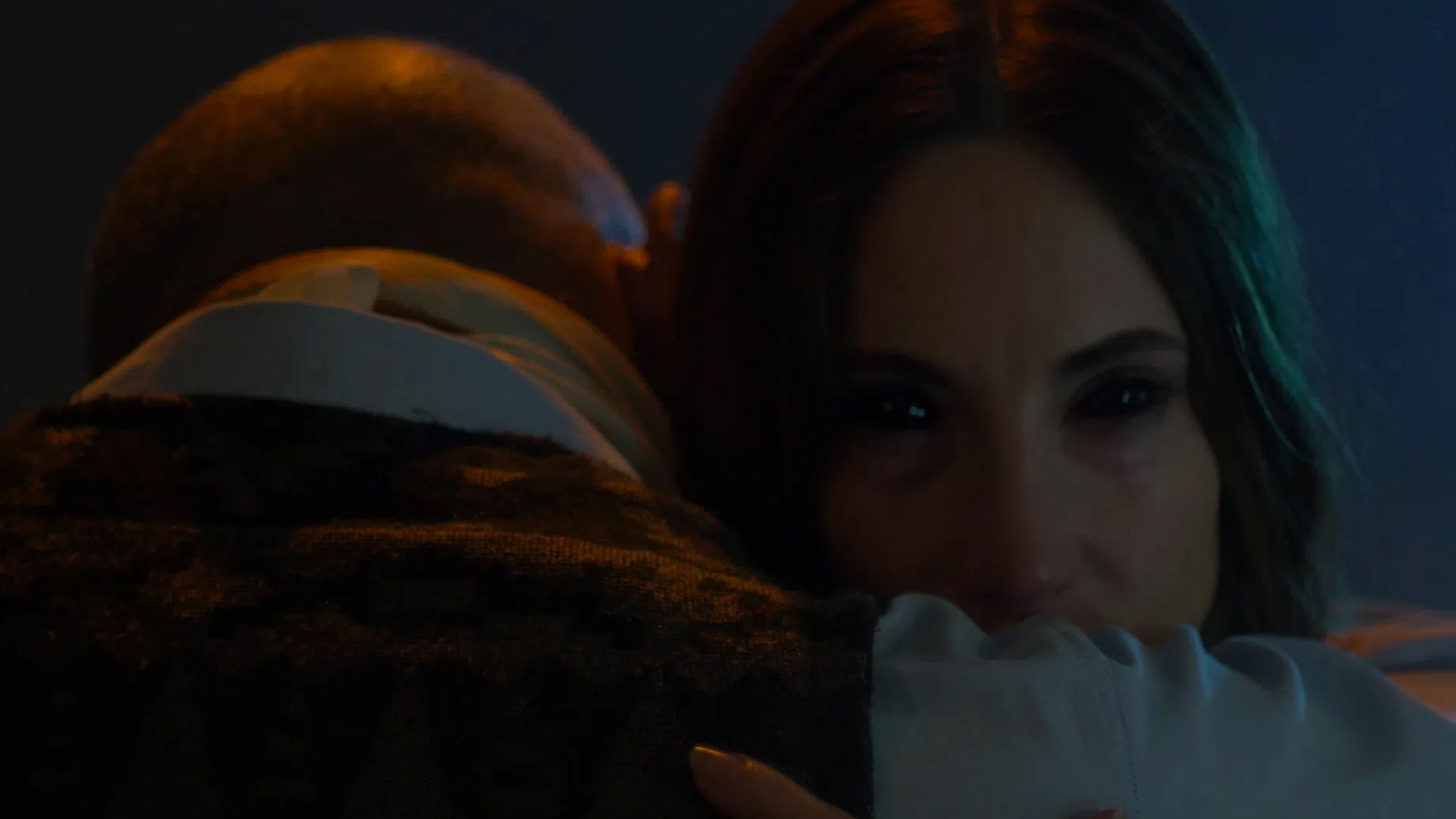 Backdrop for The Shape of the Woods