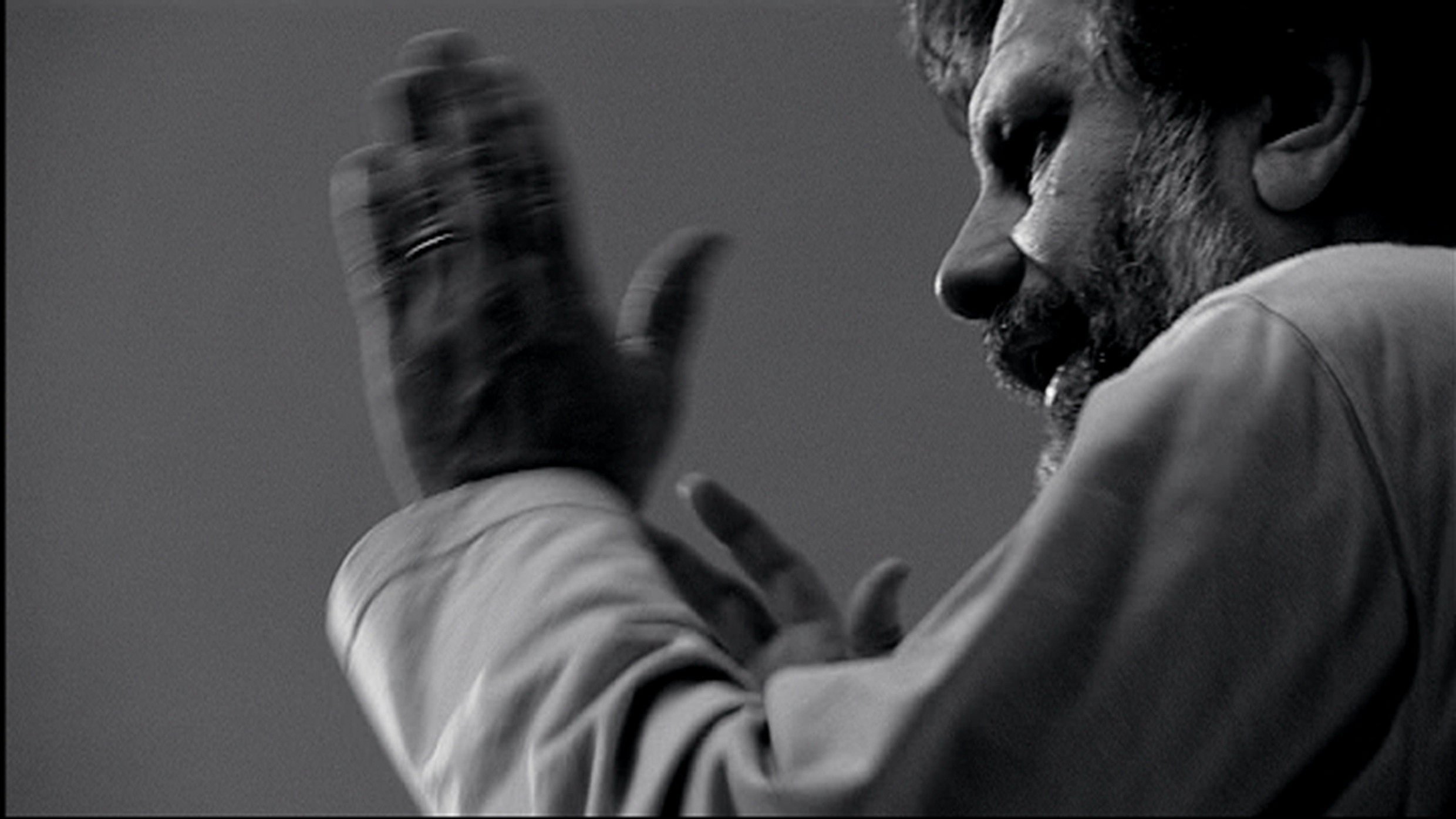 Backdrop for Alien, Marx & Co.  - Zizek Portrait