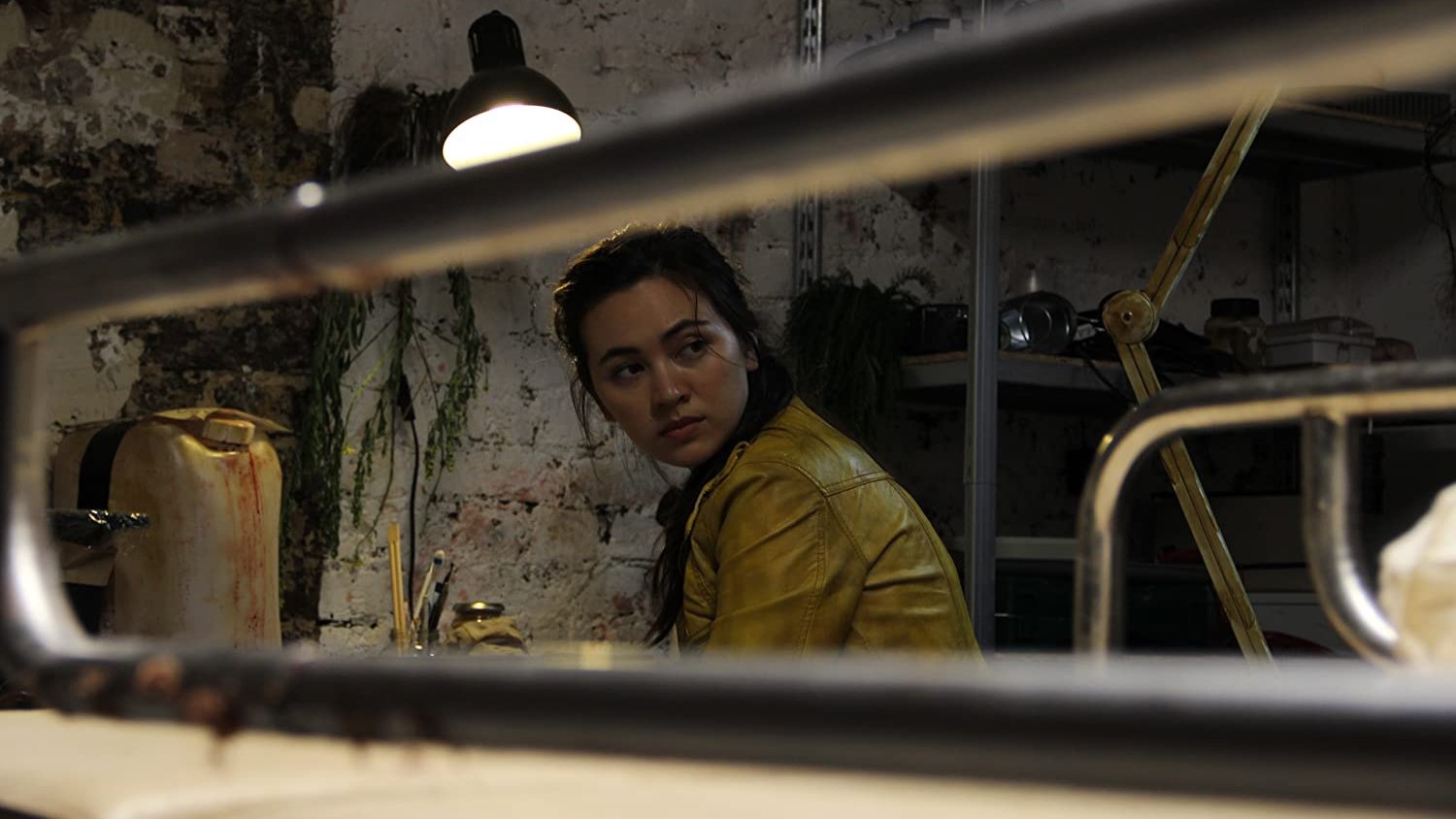 Backdrop for The Heart of the Forest