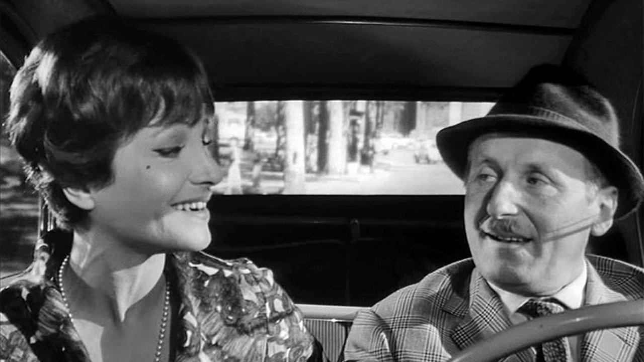 Backdrop for The Busybody