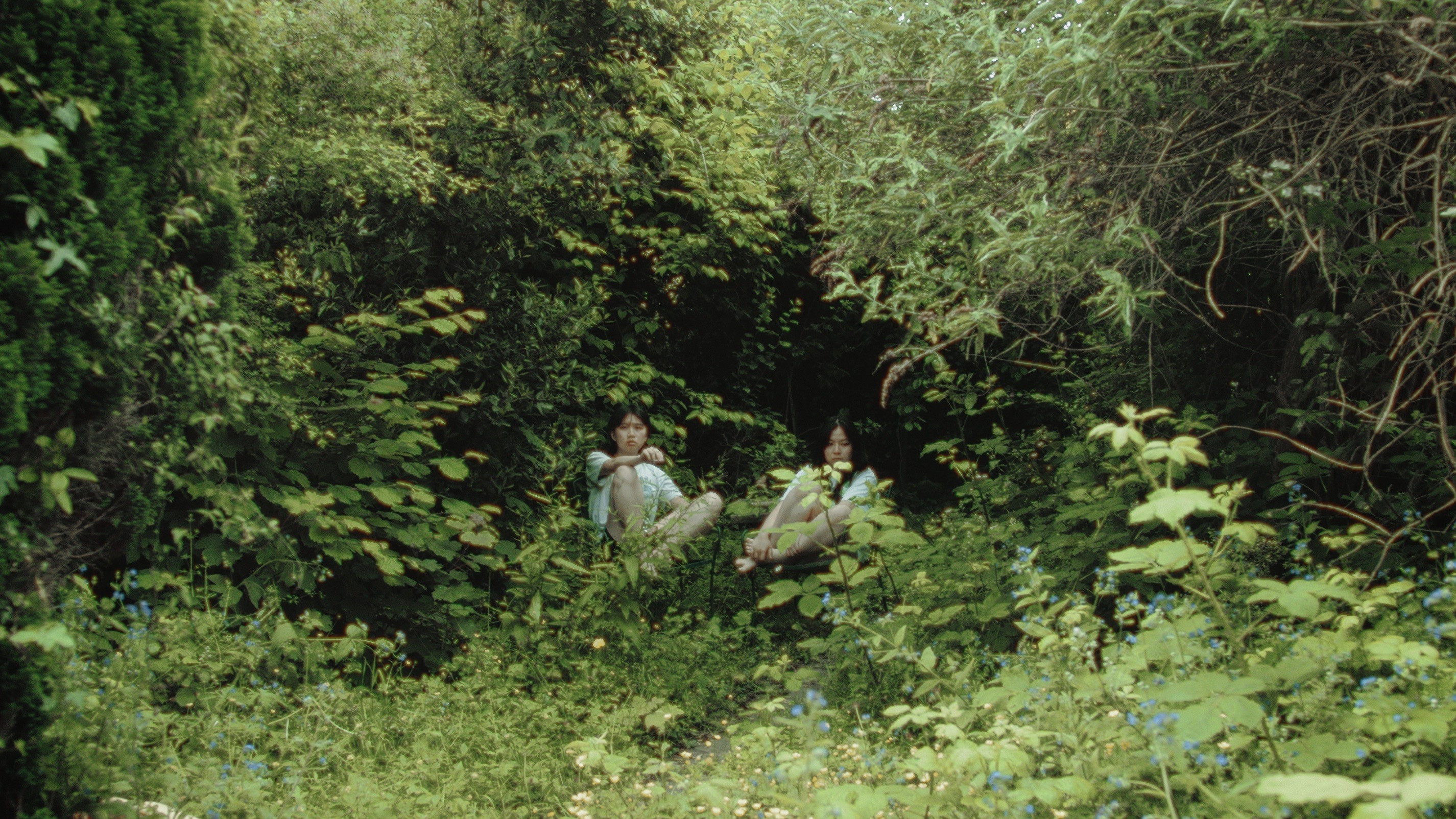 Backdrop for My Sister Is a Butterfly