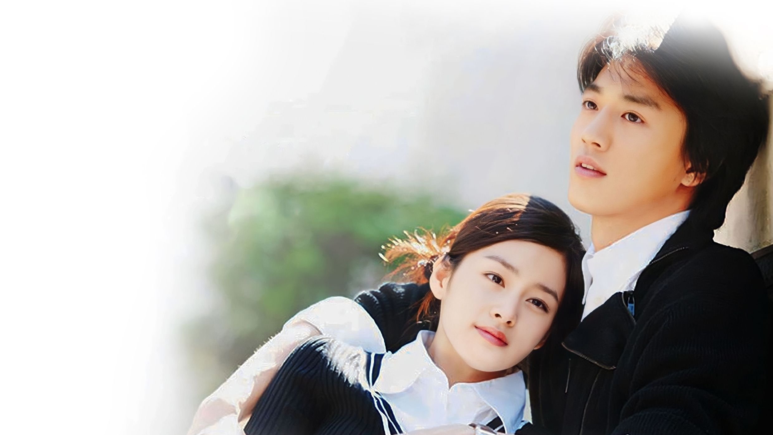 Backdrop for Love Story in Harvard