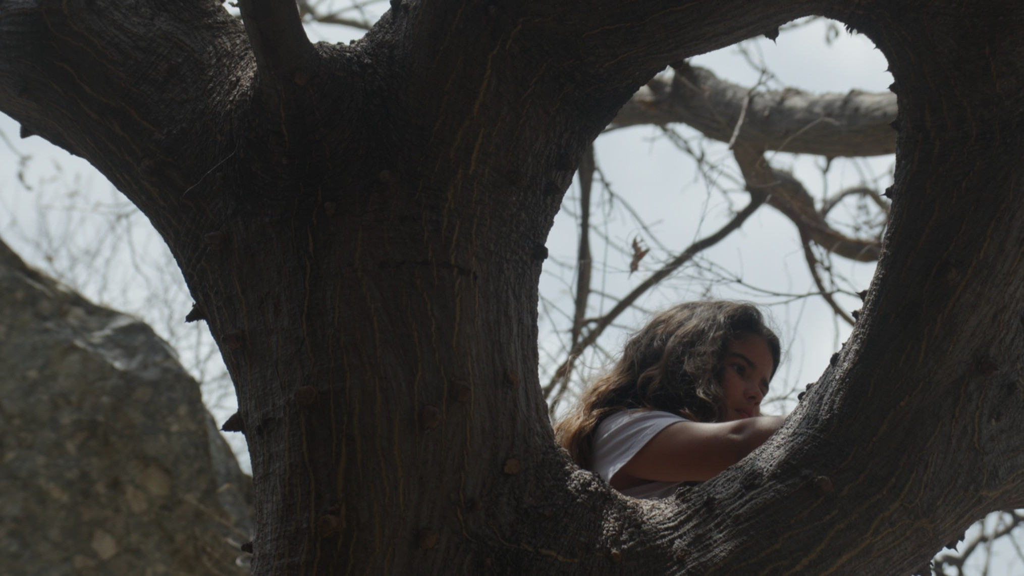 Backdrop for No Fundo do Poço