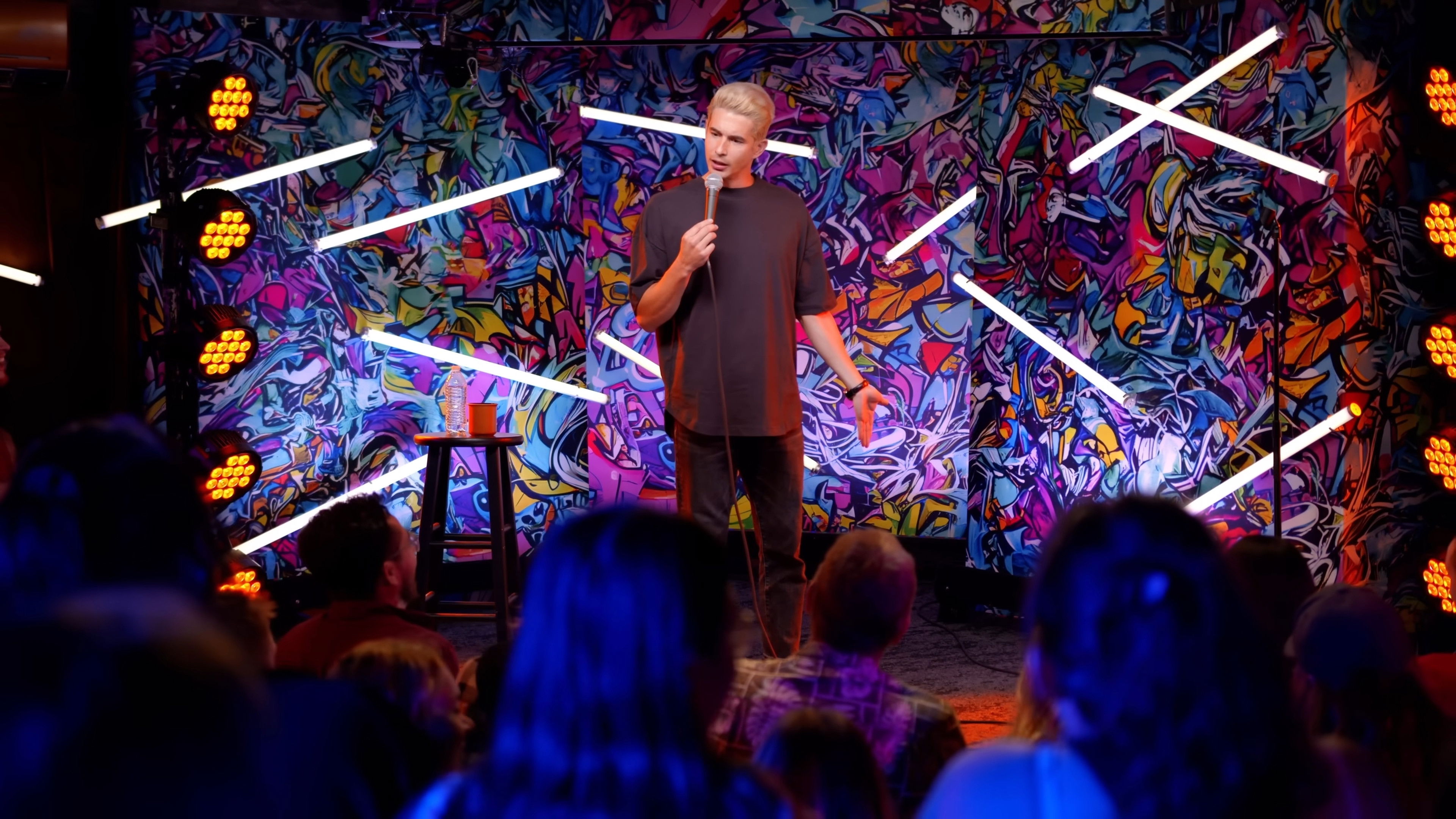 Backdrop for Michael Blaustein - Silly Goose