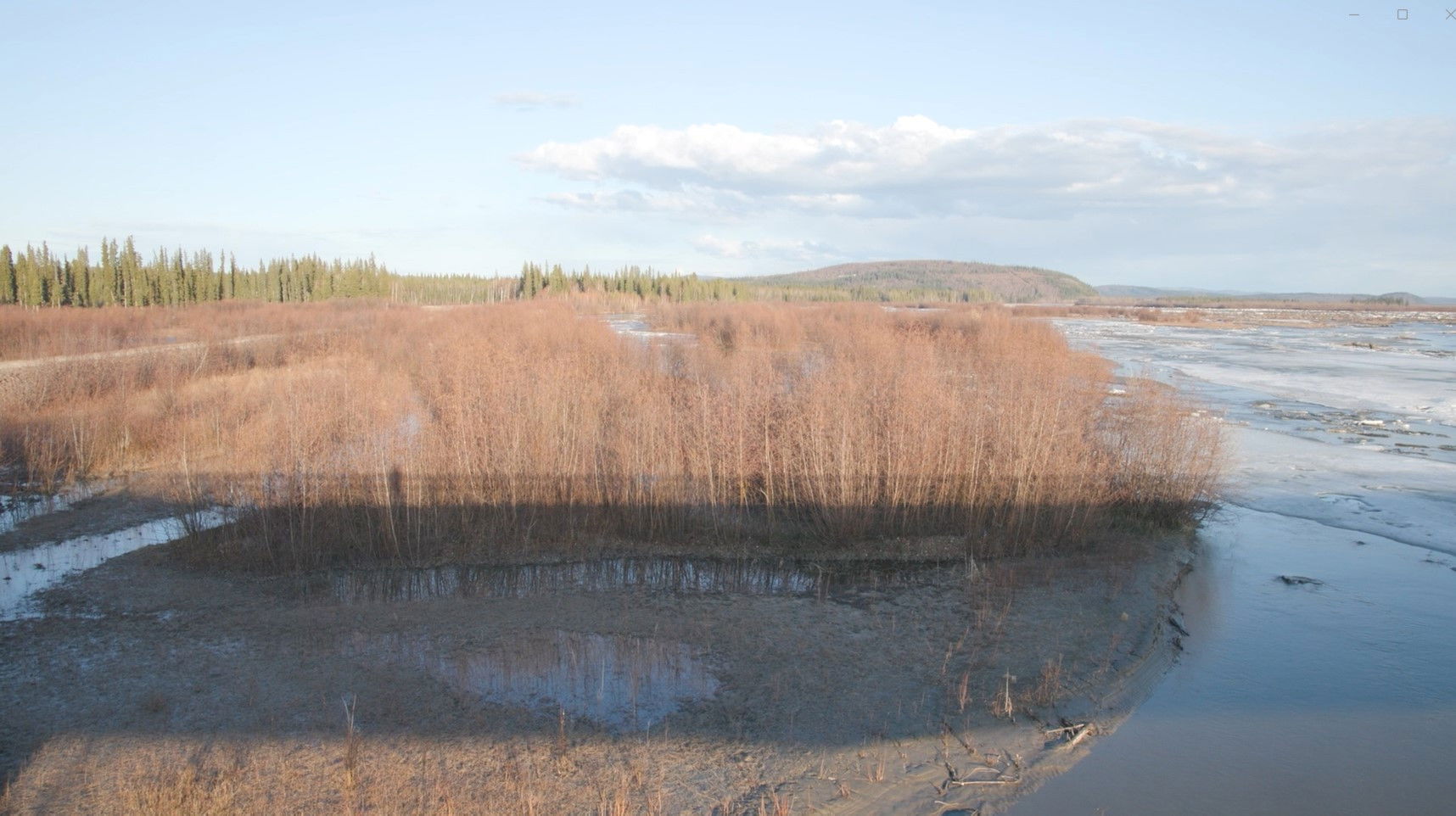 Backdrop for The Story of a Slough
