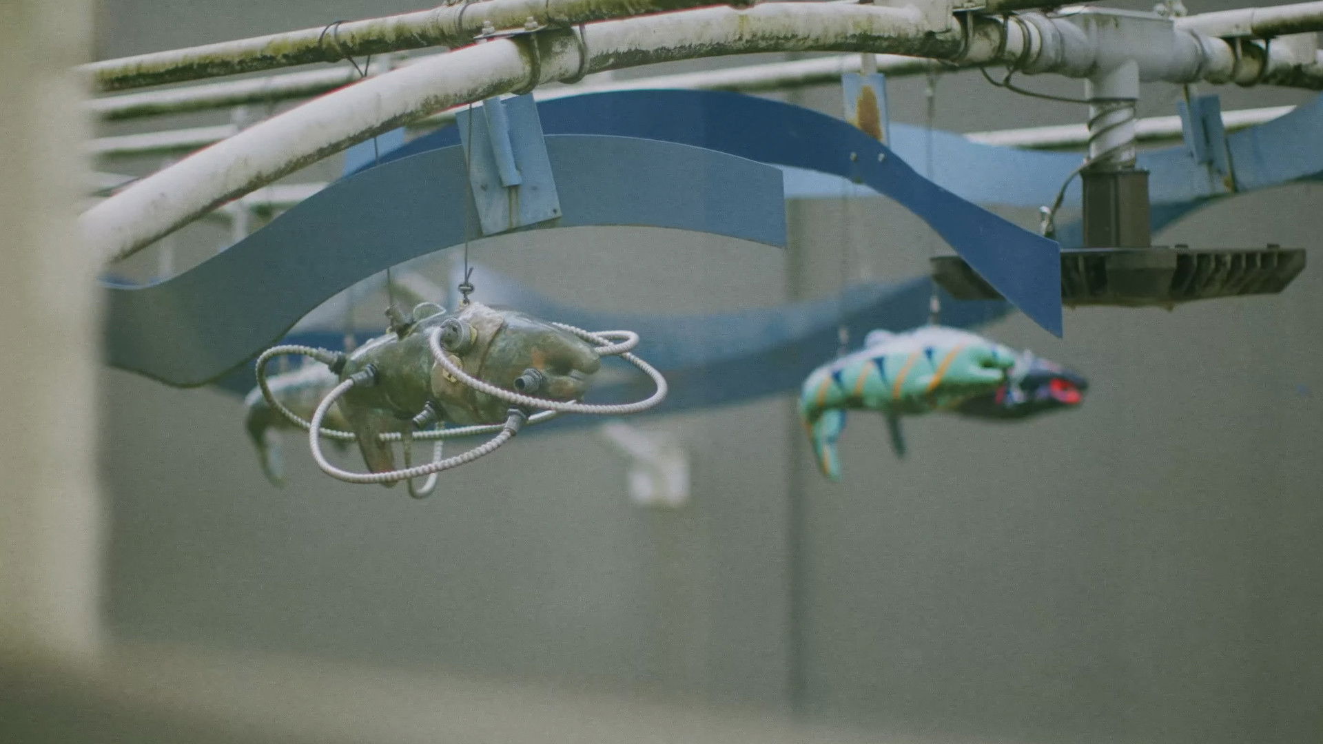 Backdrop for A Few Things I Think I Know About my Grandfather