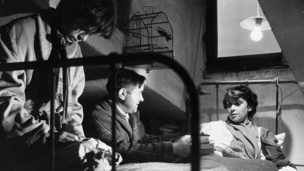 Backdrop for Segundo López, Urban Adventurer