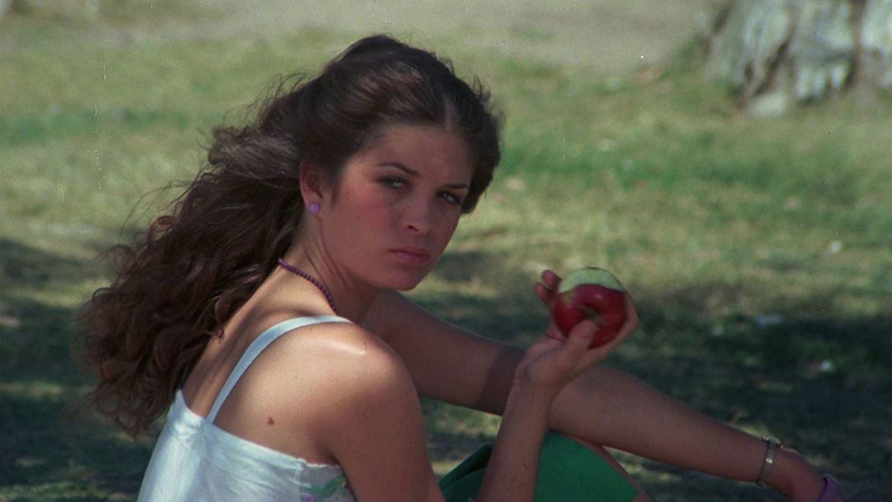 Backdrop for Sweet Sixteen