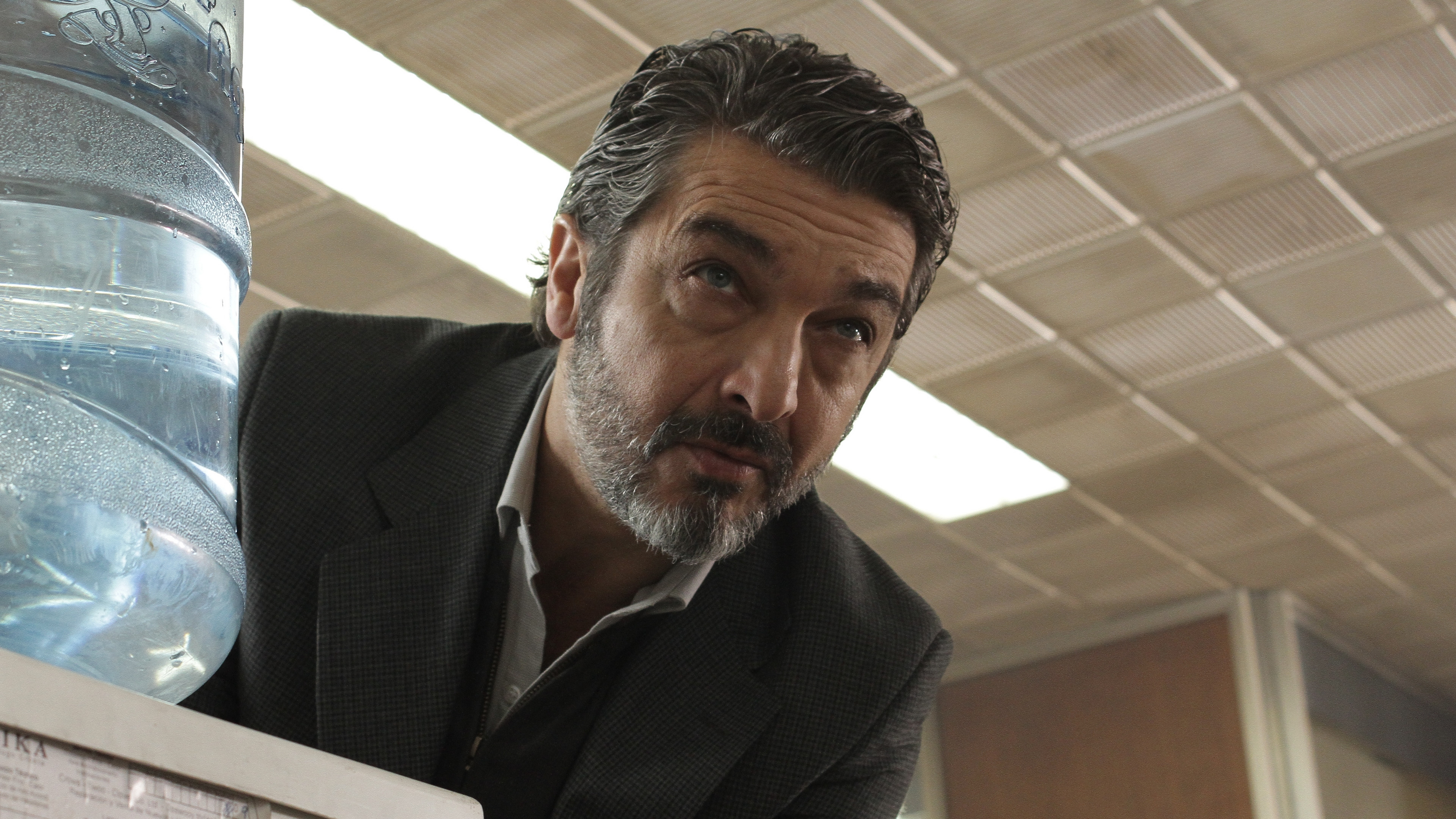 Backdrop for Thesis on a Homicide