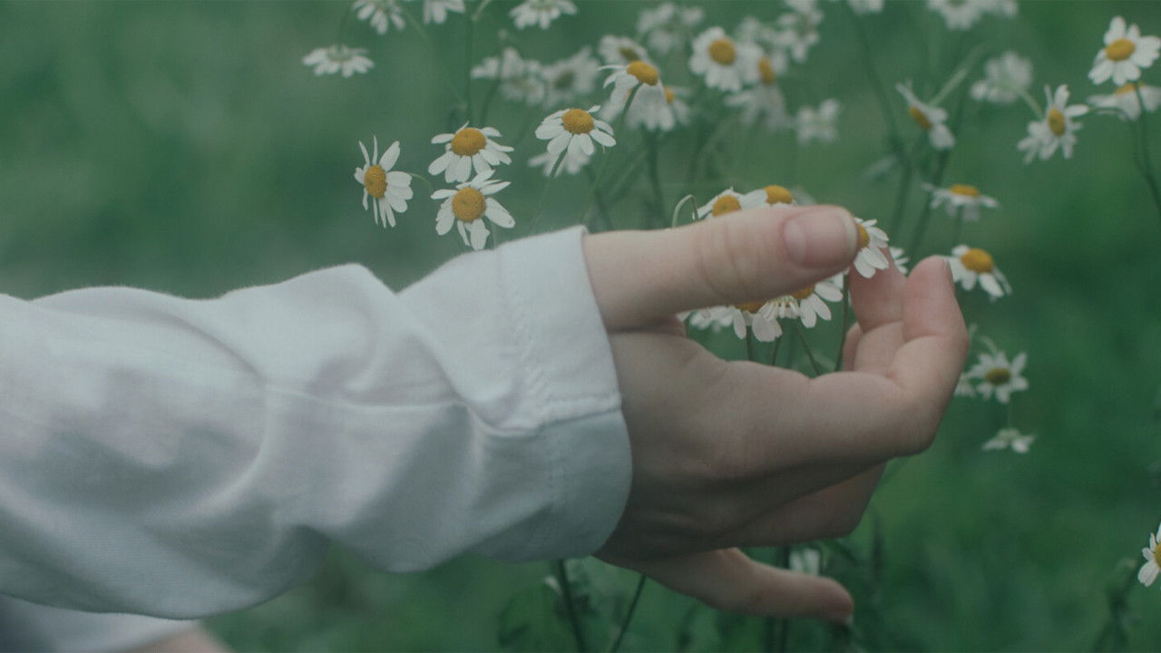 Backdrop for Still Life