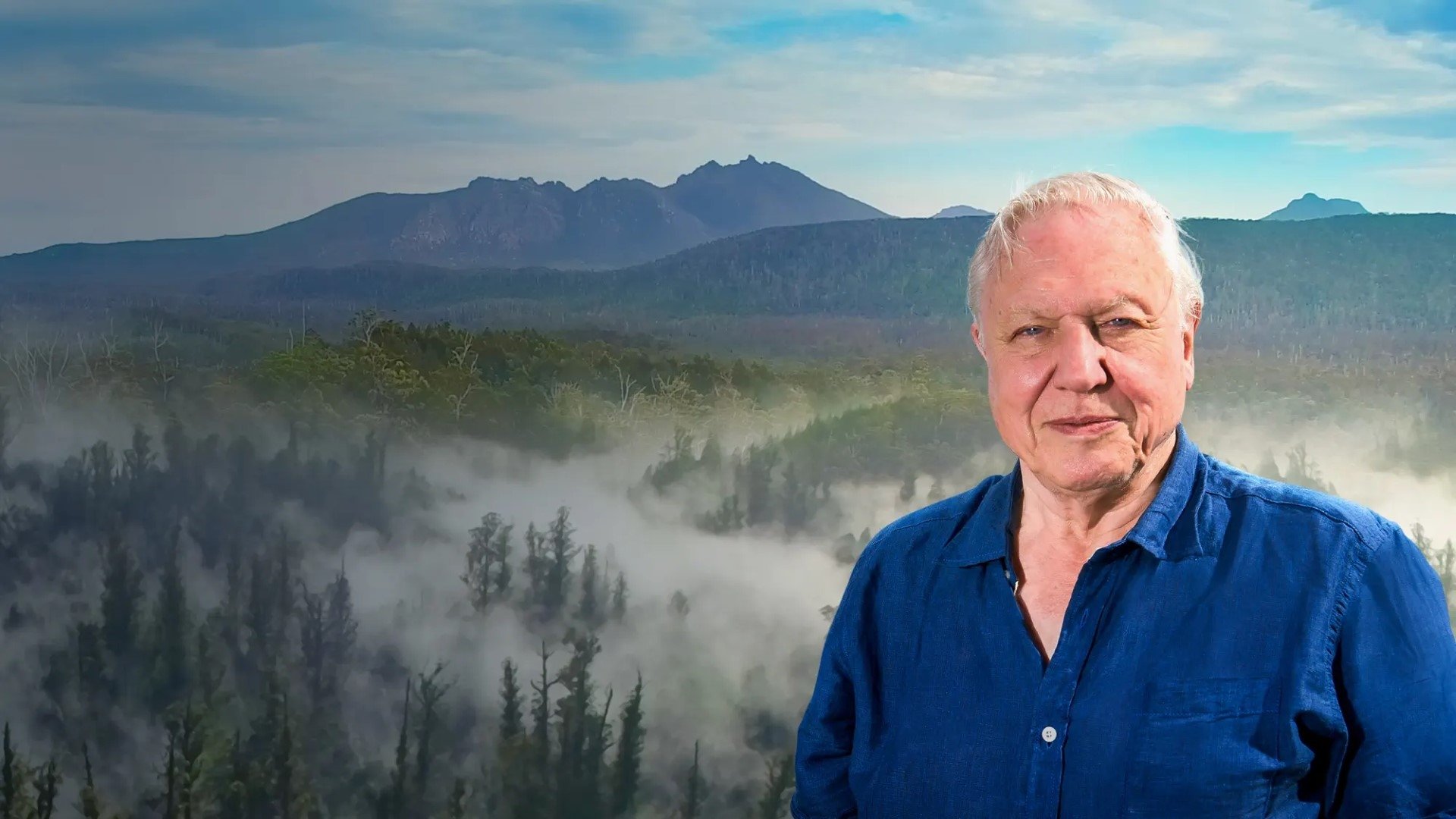 Backdrop for David Attenborough's Tasmania