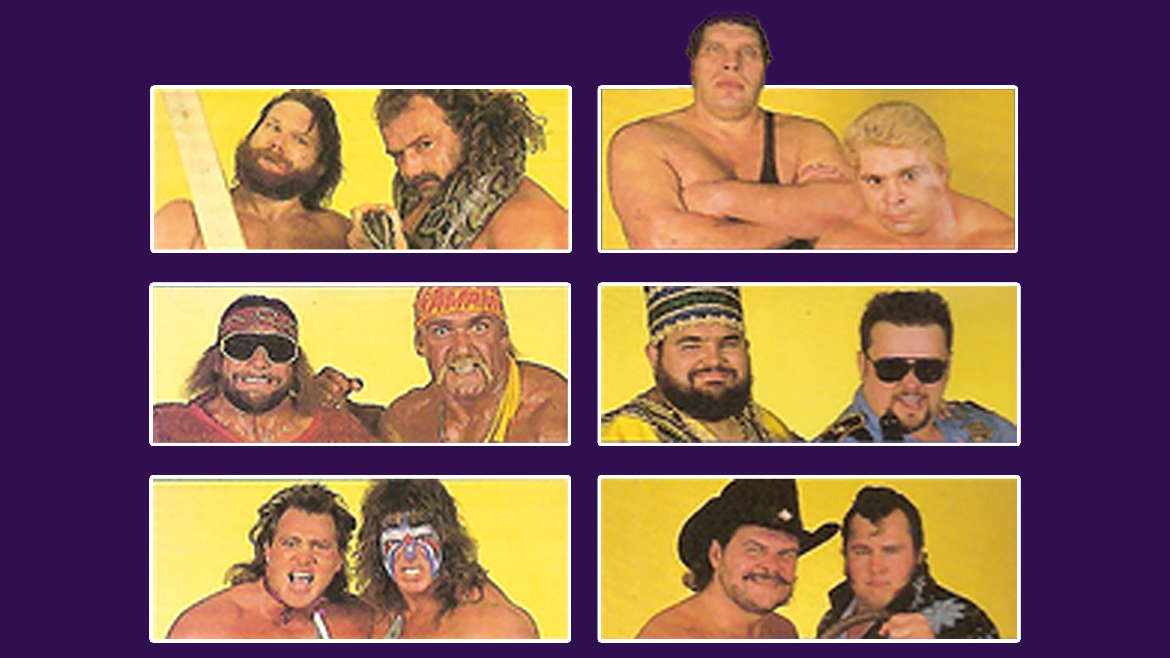 Backdrop for WWE Survivor Series 1988