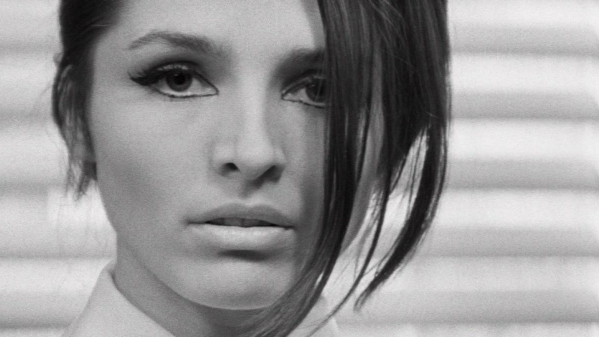 Backdrop for Ave, Vita