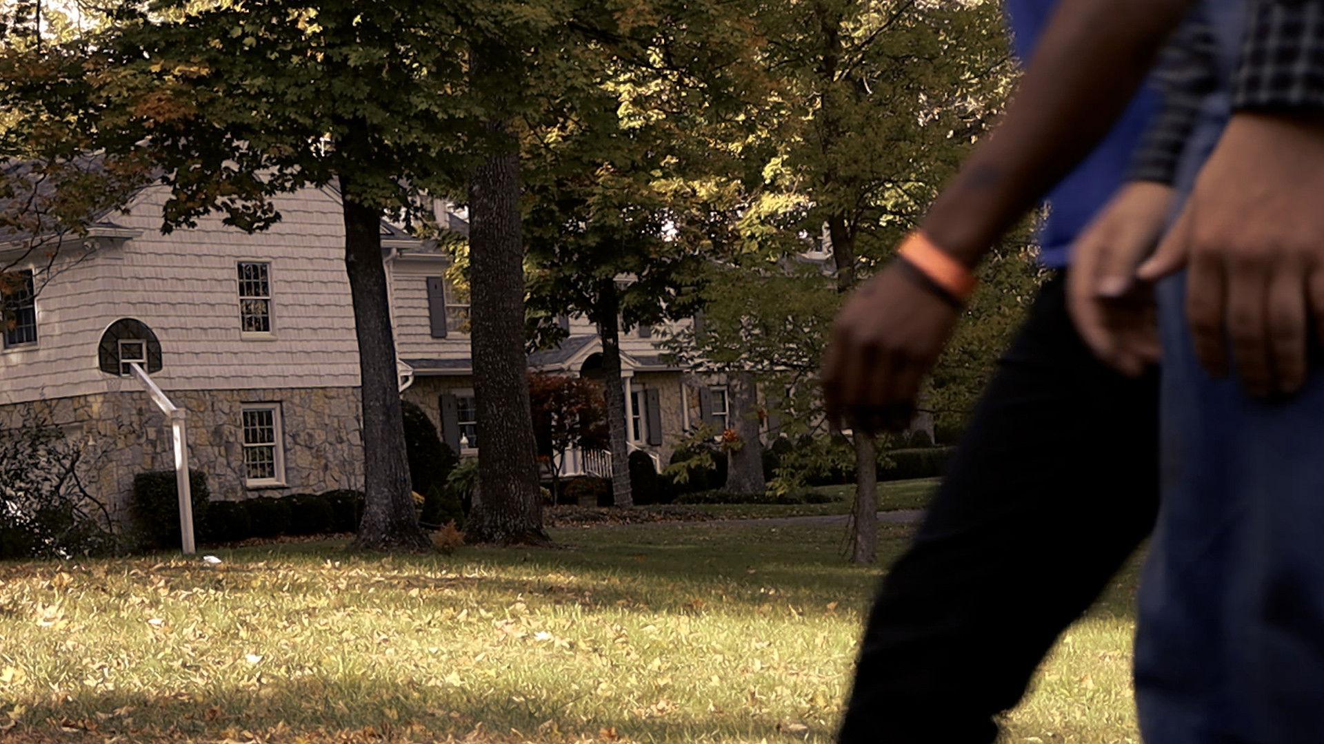 Backdrop for A Suburban Area