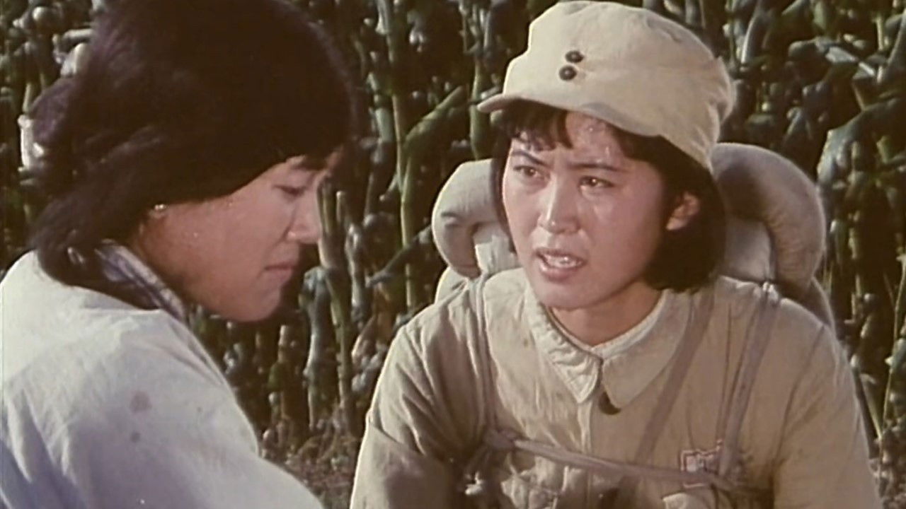 Backdrop for Nu Bing