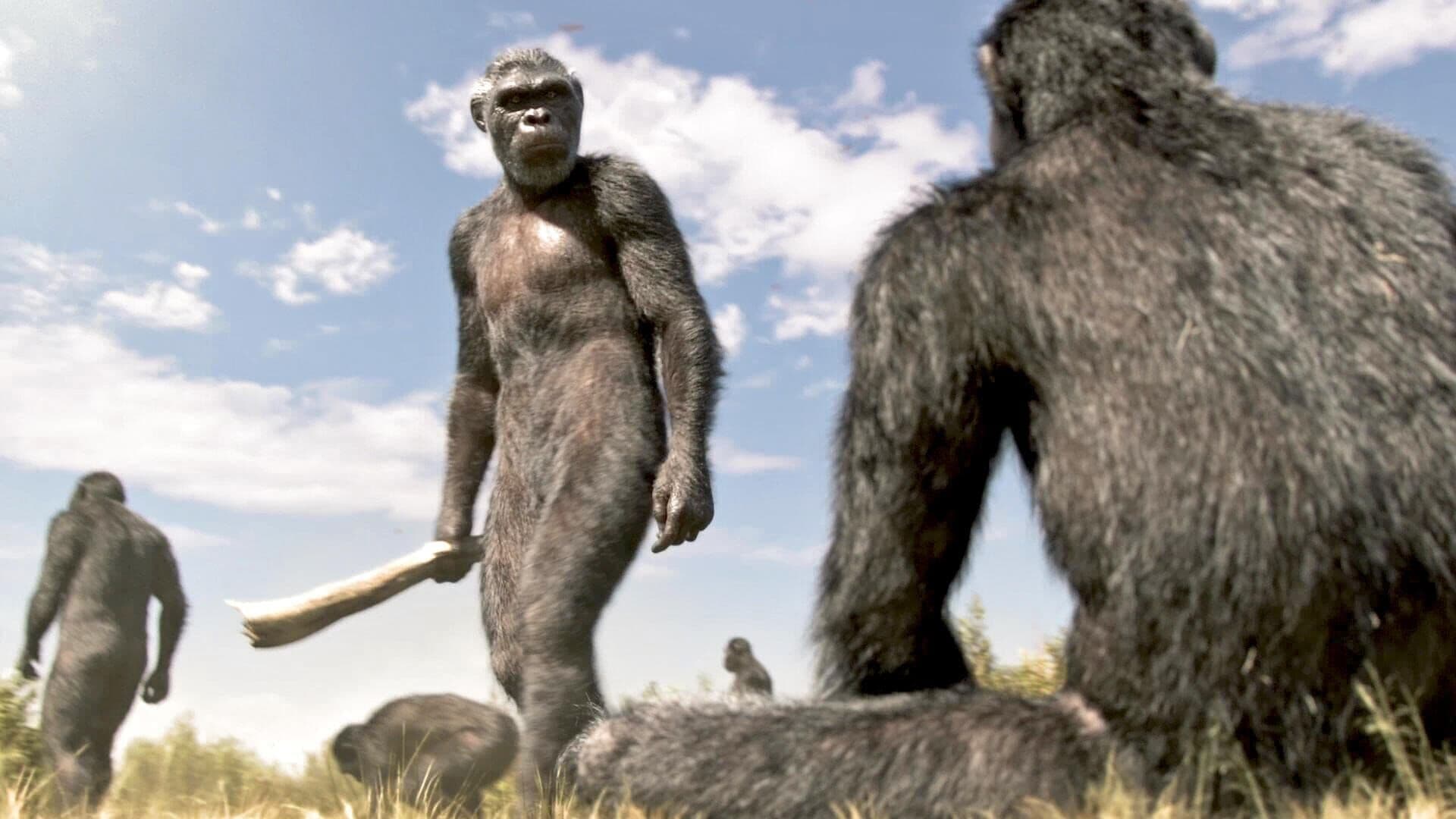 Backdrop for Out of the Cradle