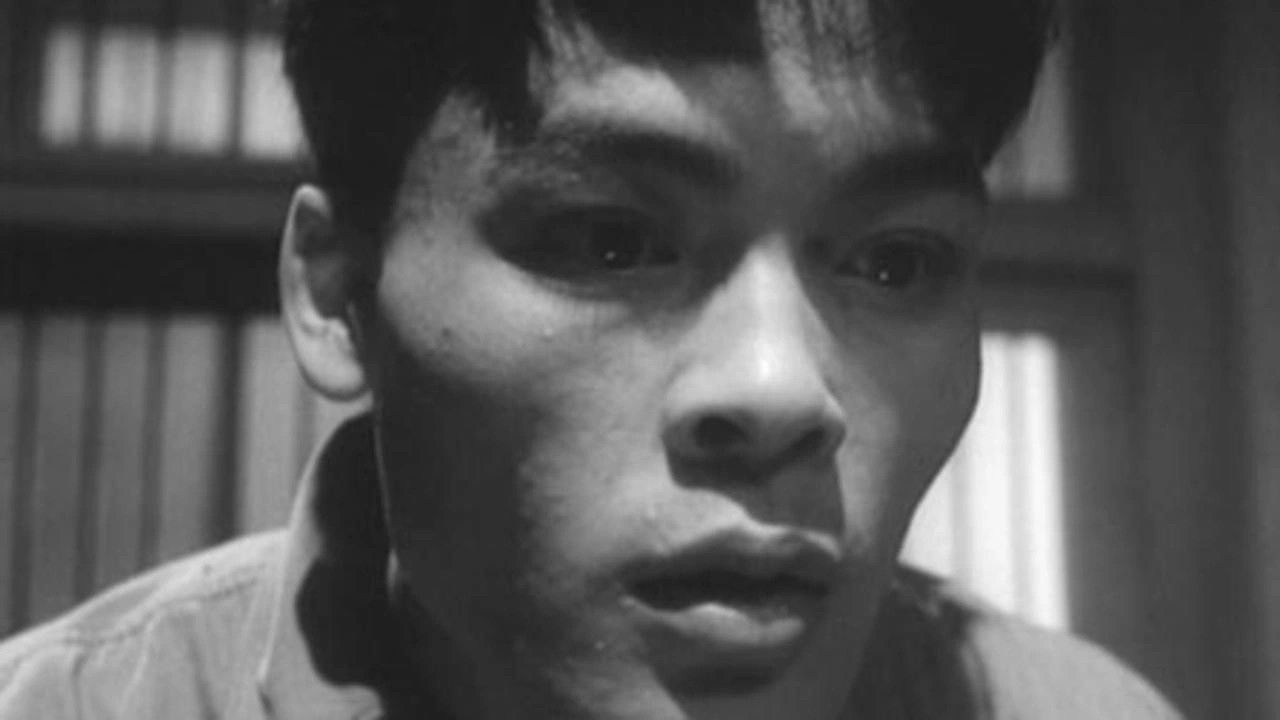 Backdrop for Darkness at Noon