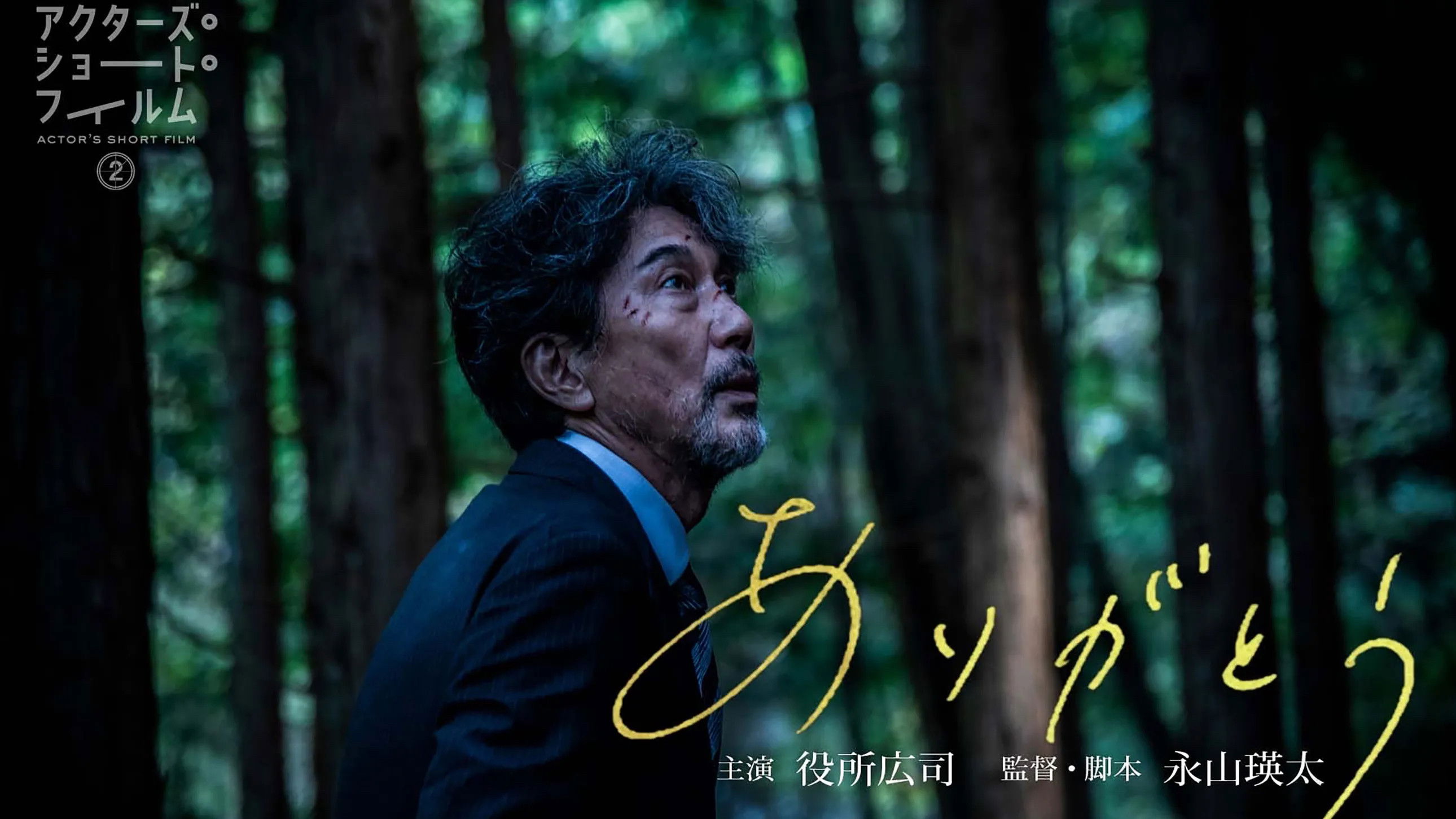 Backdrop for Gratitude