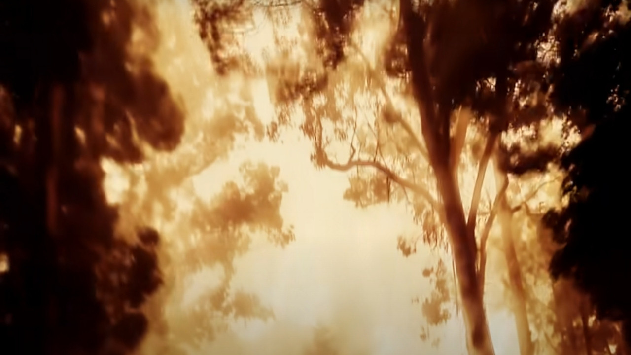 Backdrop for Snowglobe