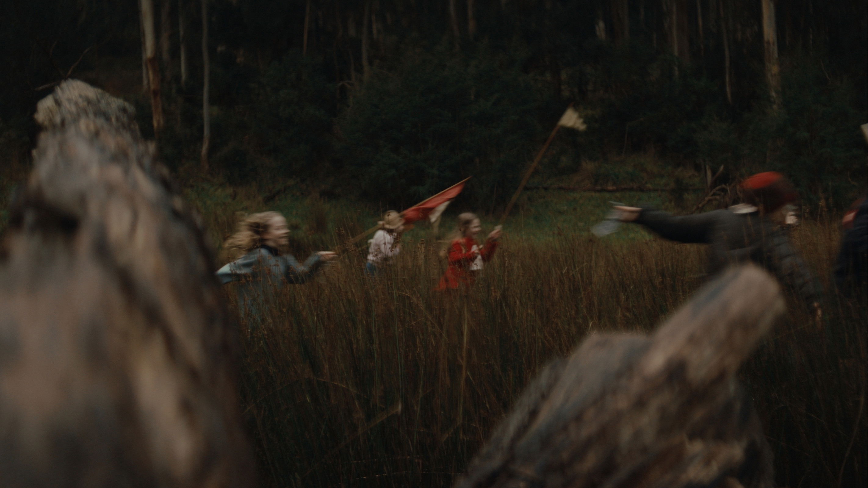 Backdrop for In The Trees