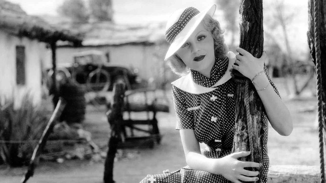 Backdrop for Under the Pampas Moon