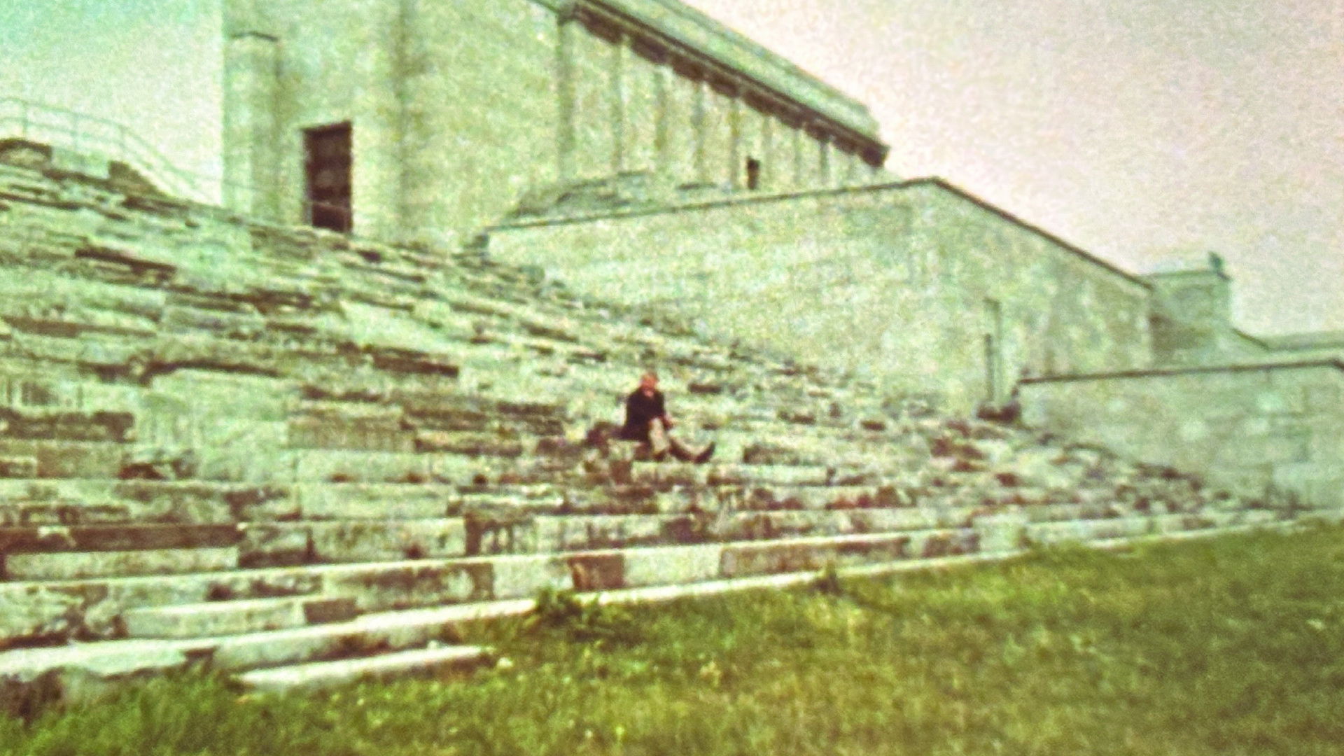 Backdrop for The Last Nazi: Albert Speer