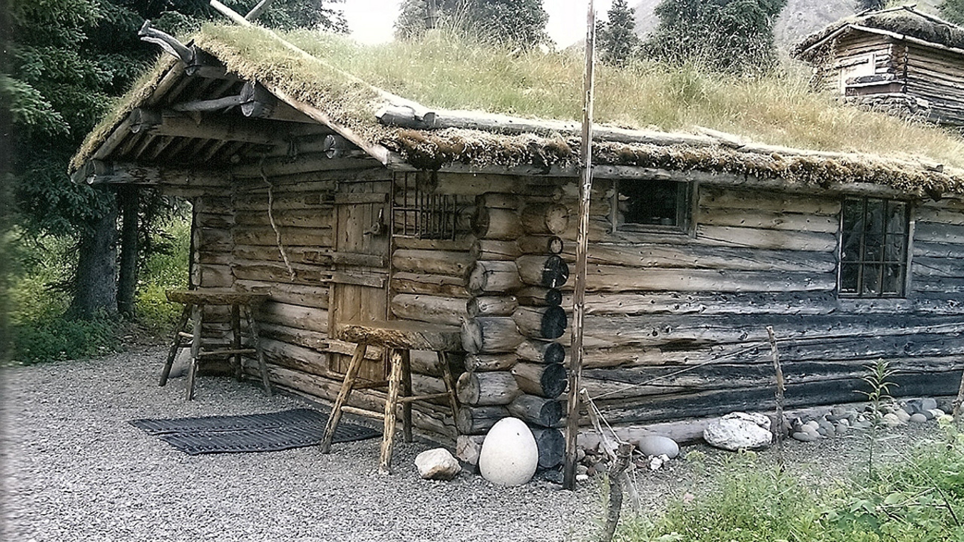 Backdrop for Alone in the Wilderness: Part II