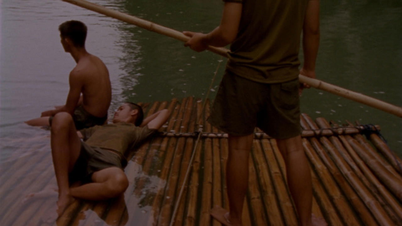 Backdrop for Jungle Love