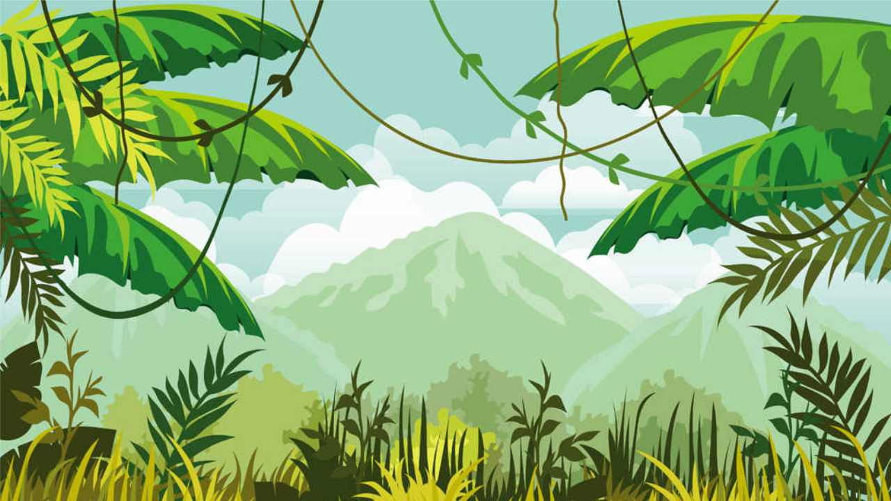 Backdrop for Wild Cargo