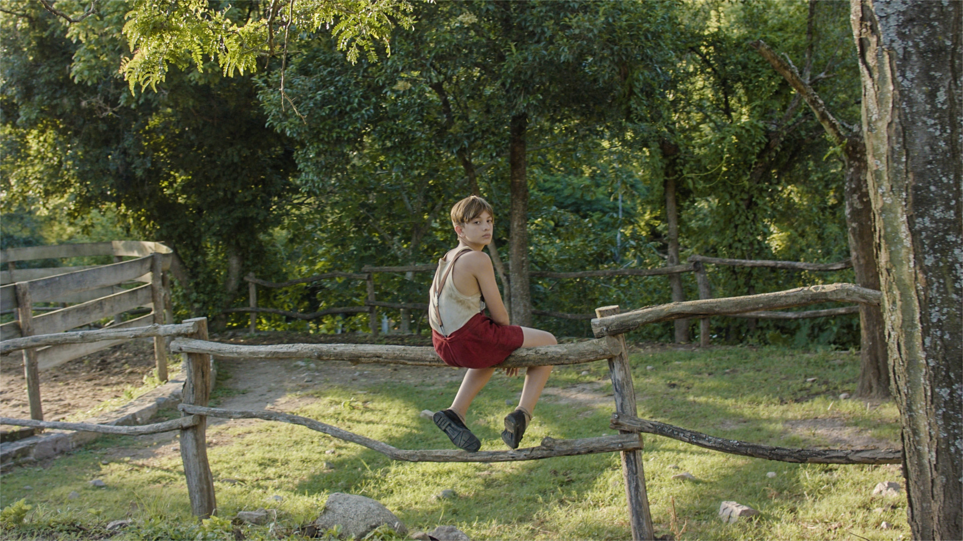 Backdrop for Lamb of God