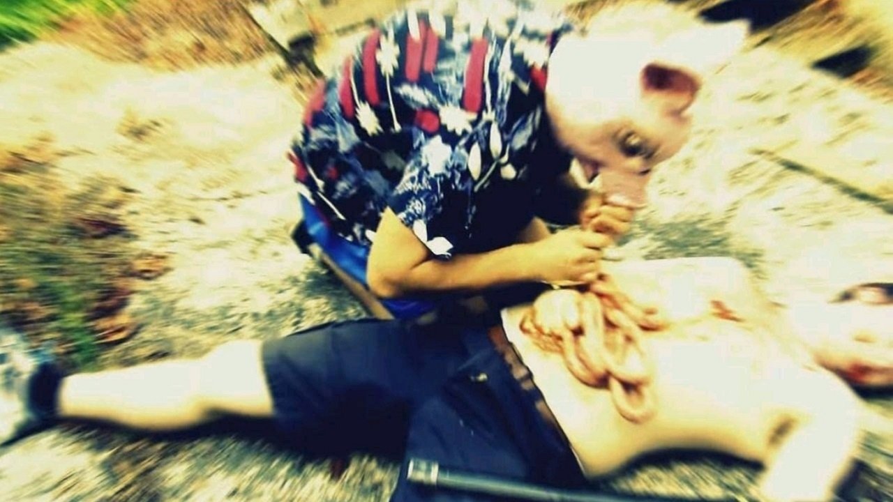 Backdrop for Attack of the Pig-Zombies!