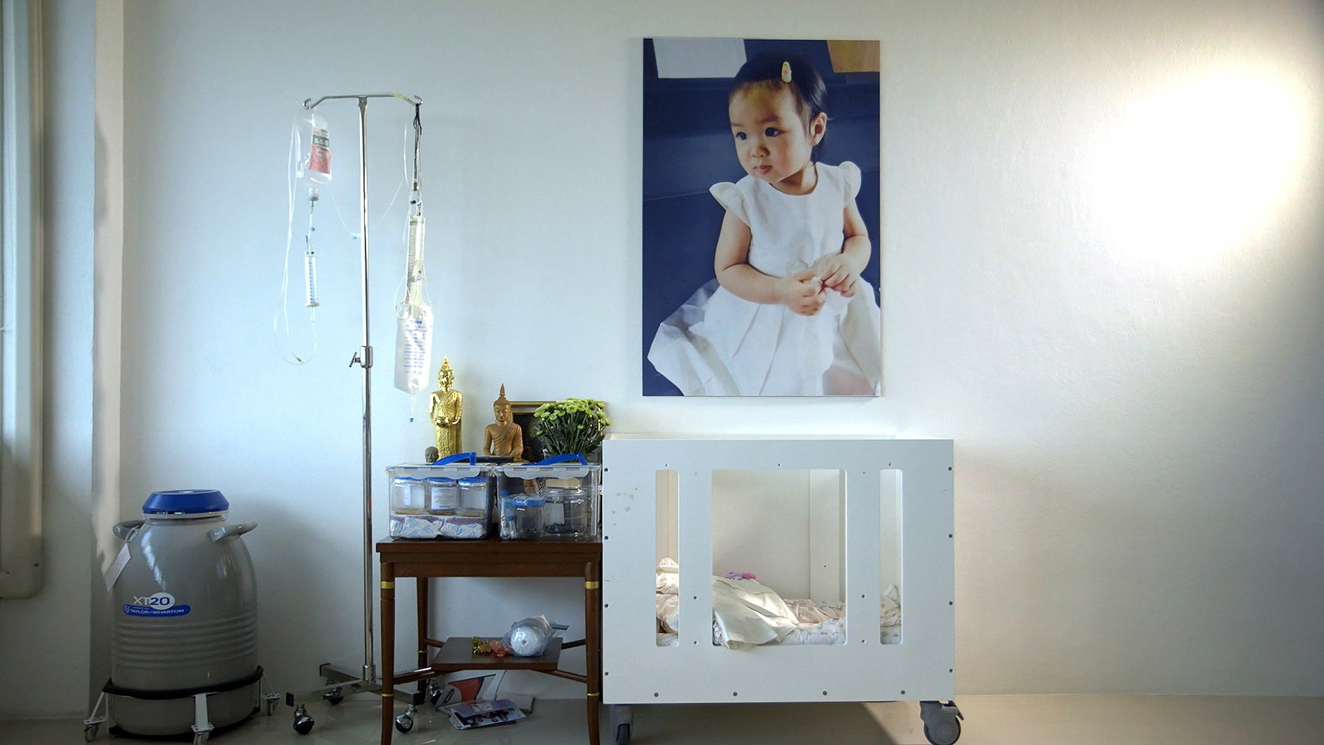 Backdrop for Hope Frozen: A Quest To Live Twice