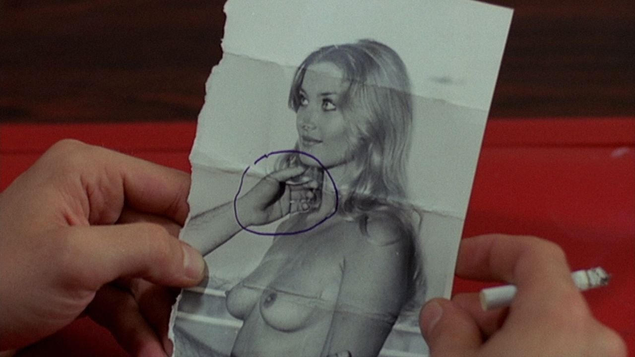 Backdrop for The Black Belly of the Tarantula