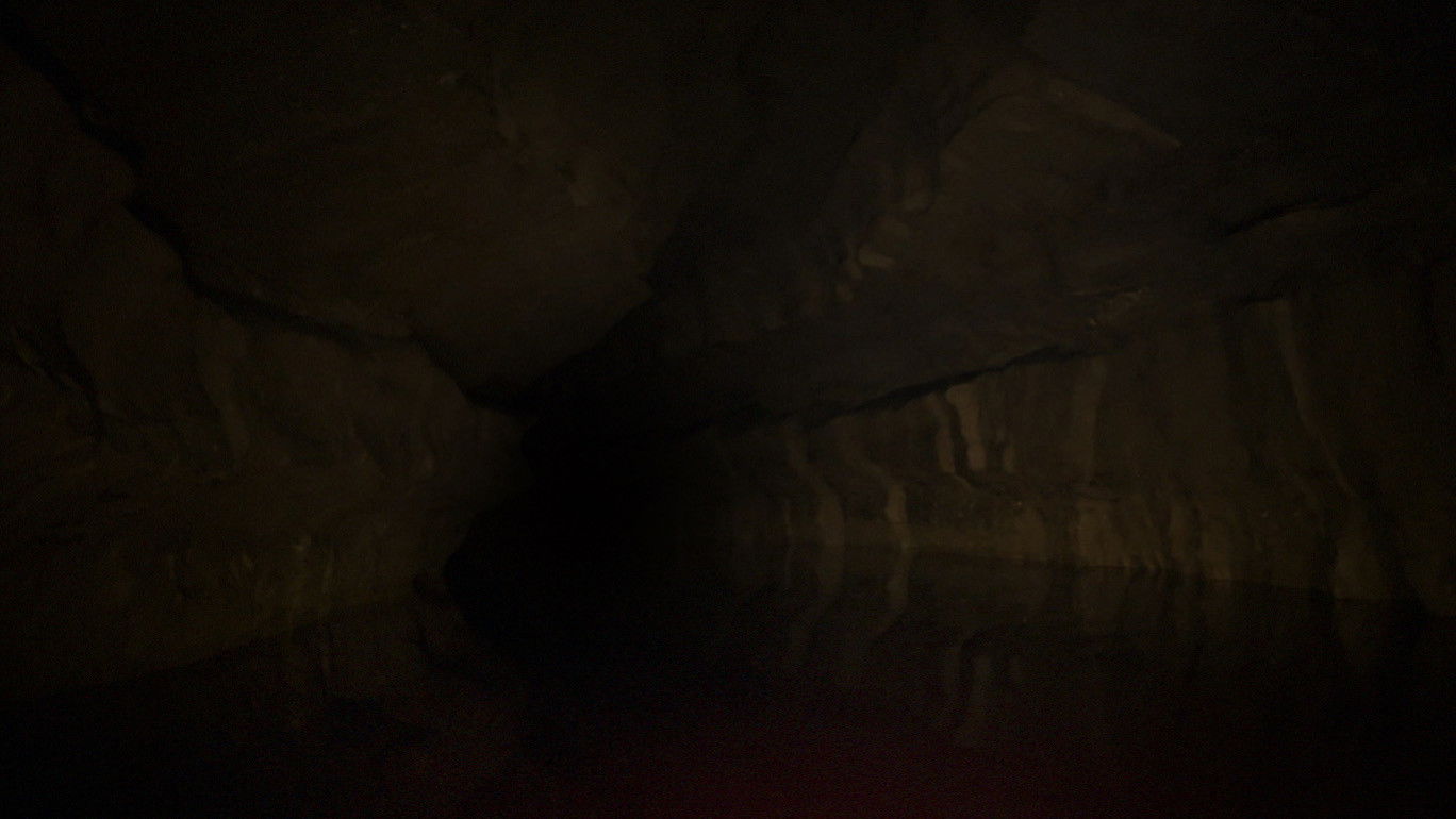 Backdrop for The Belly of the Beast