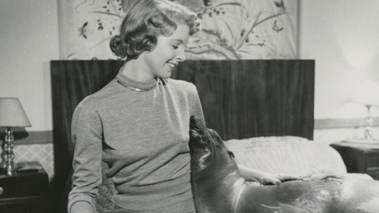 Backdrop for Min vän Oscar