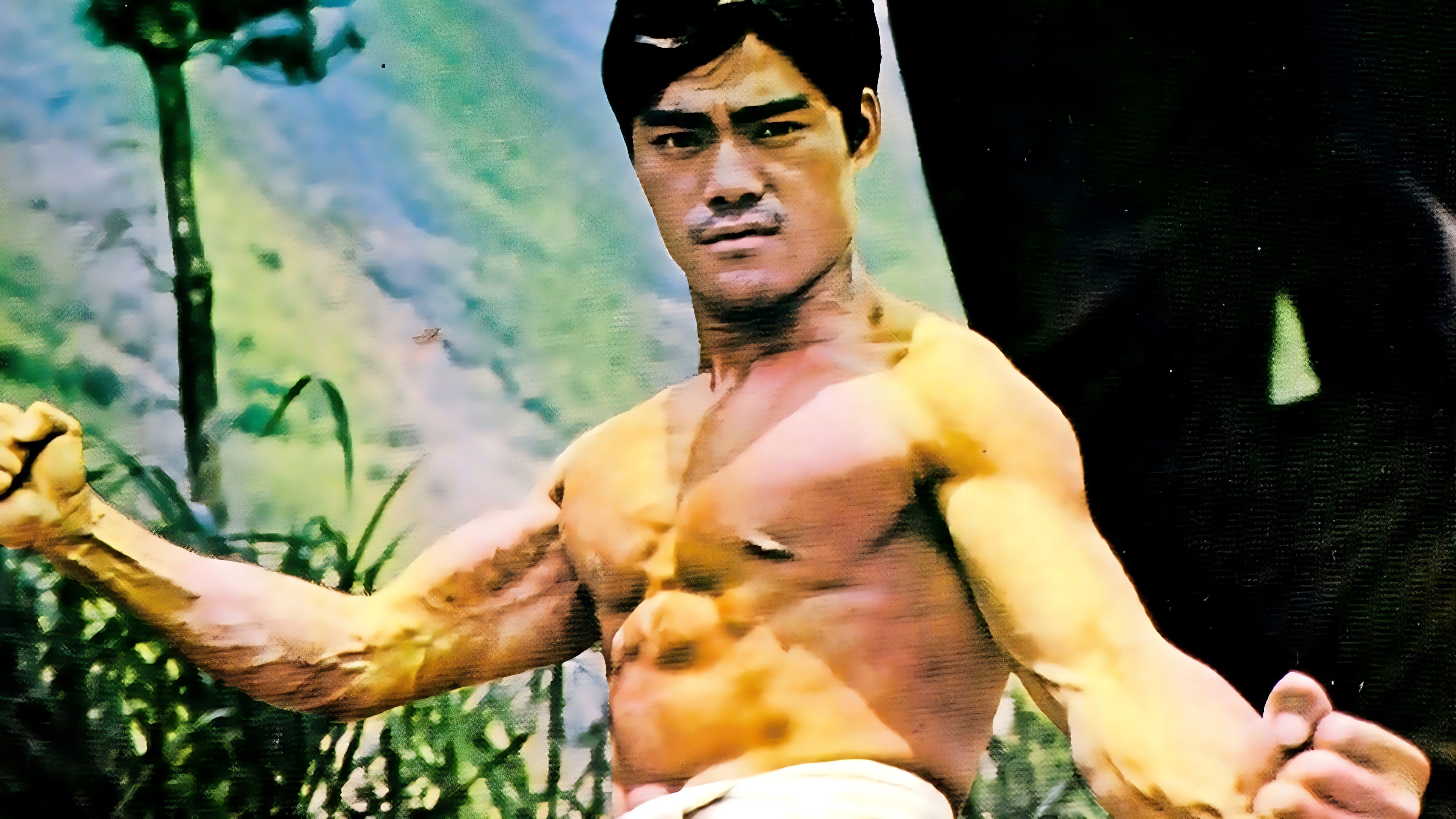 Backdrop for The Way of the Tiger