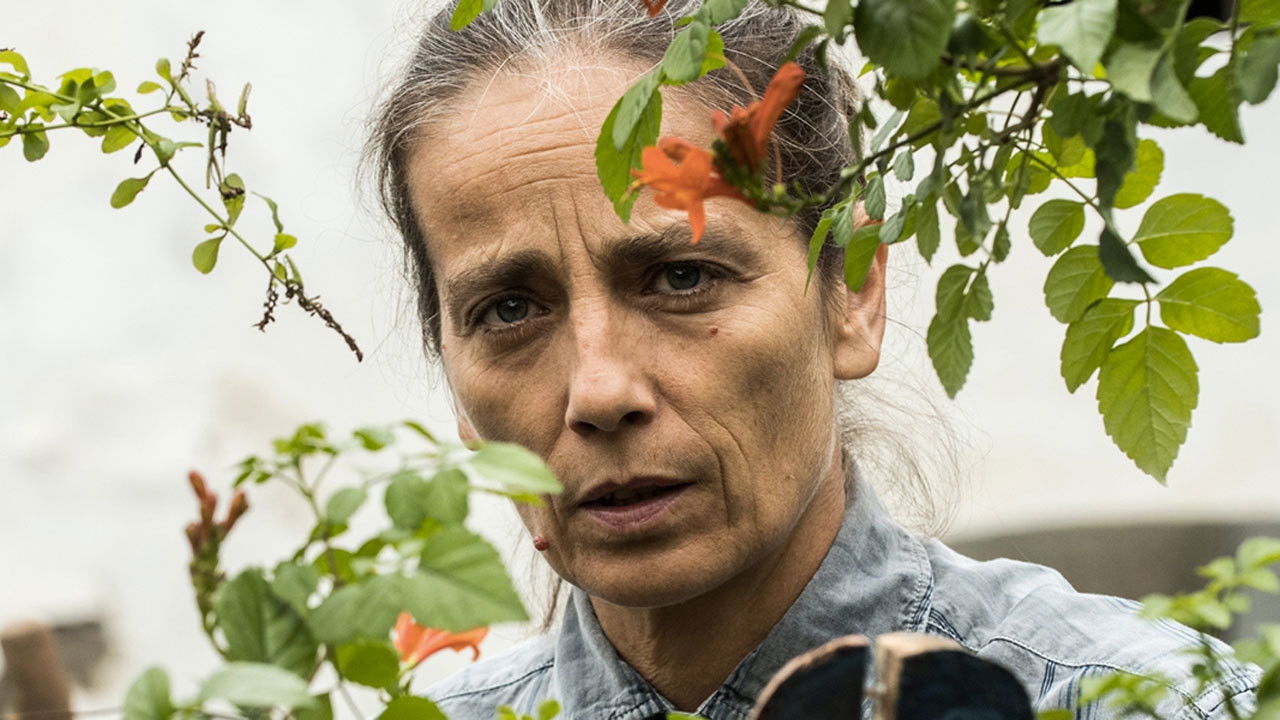 Backdrop for The Intruder