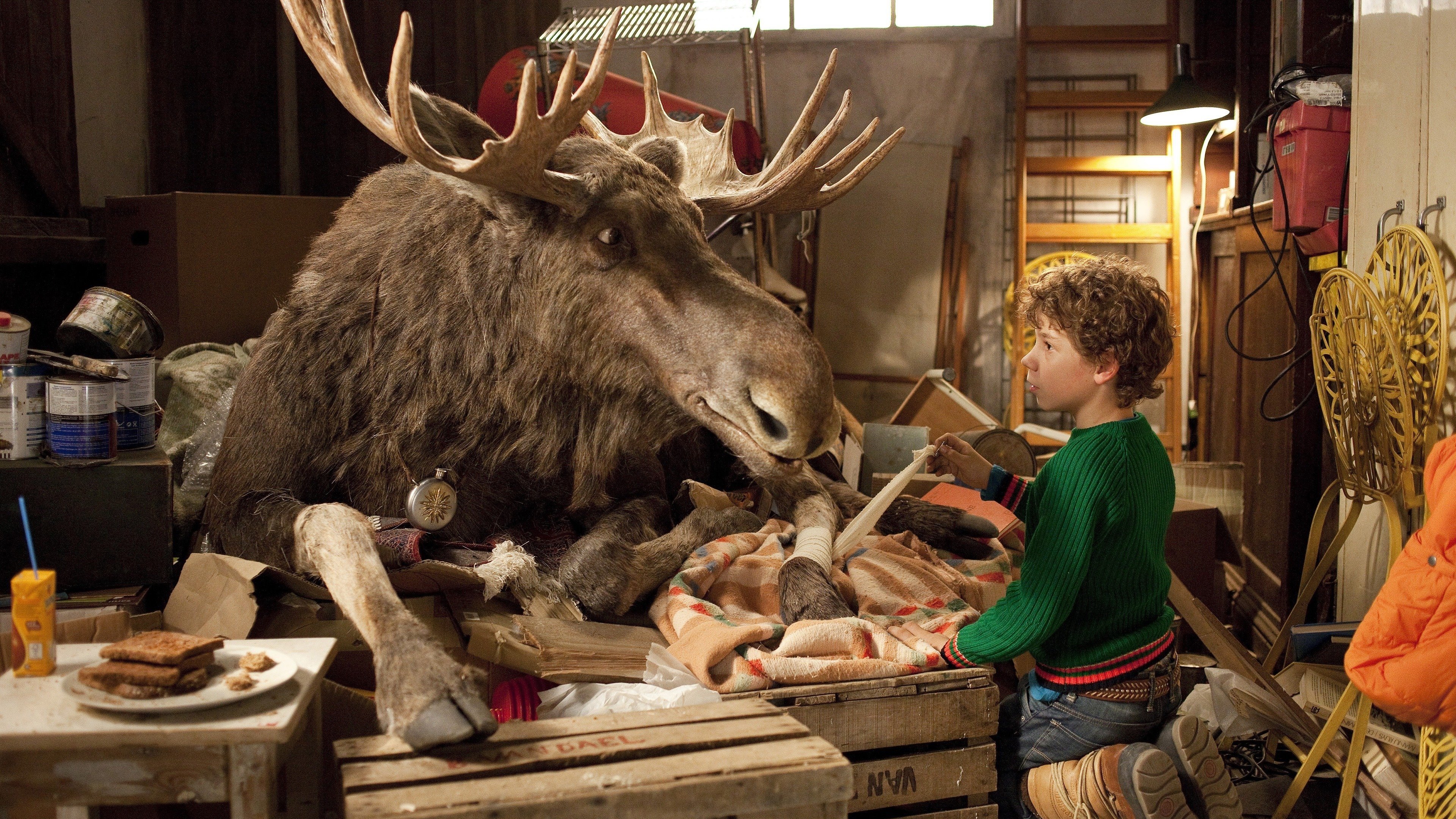 Backdrop for A Christmoose Story