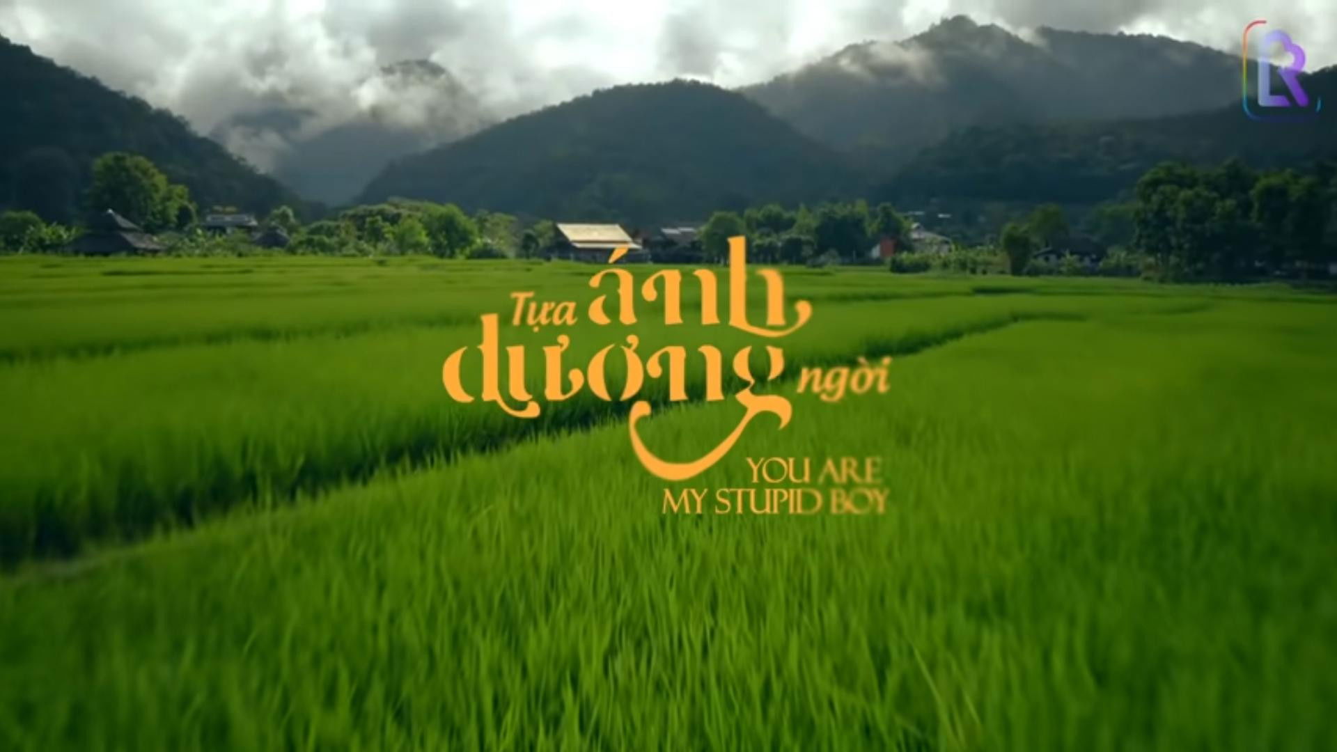 Backdrop for You Are My Stupid Boy